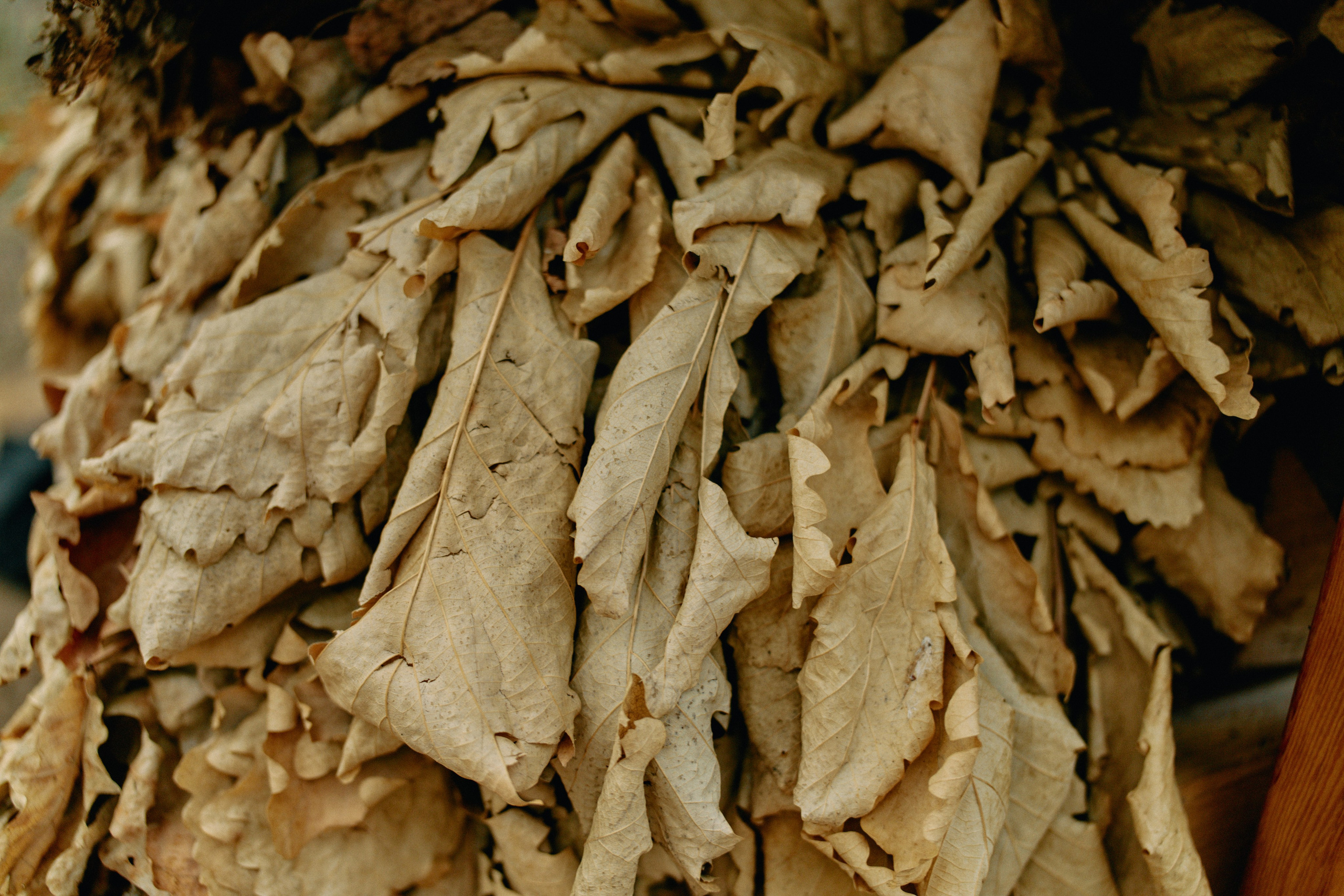 Бутик-отель Поле летом. Профессиональный Фотограф во Владимире, в Москве и в Суздале — Полина Романычева