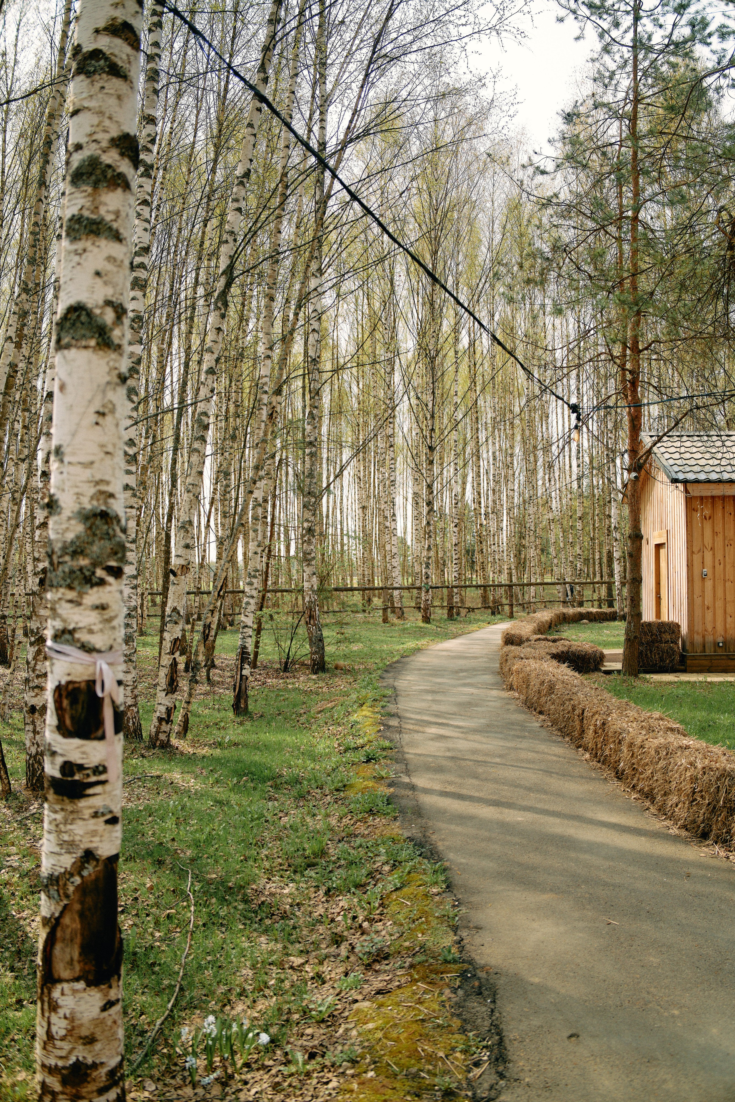 Бутик-отель Поле летом. Профессиональный Фотограф во Владимире, в Москве и в Суздале — Полина Романычева
