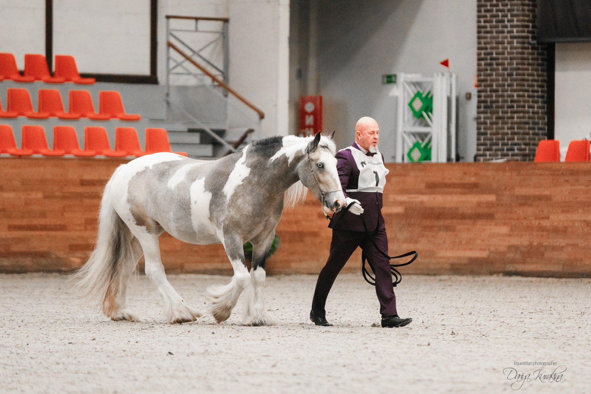 8-я международная выставка Конная Россия. Конный фотограф Куракина Дарья • Фотосессии с лошадьми