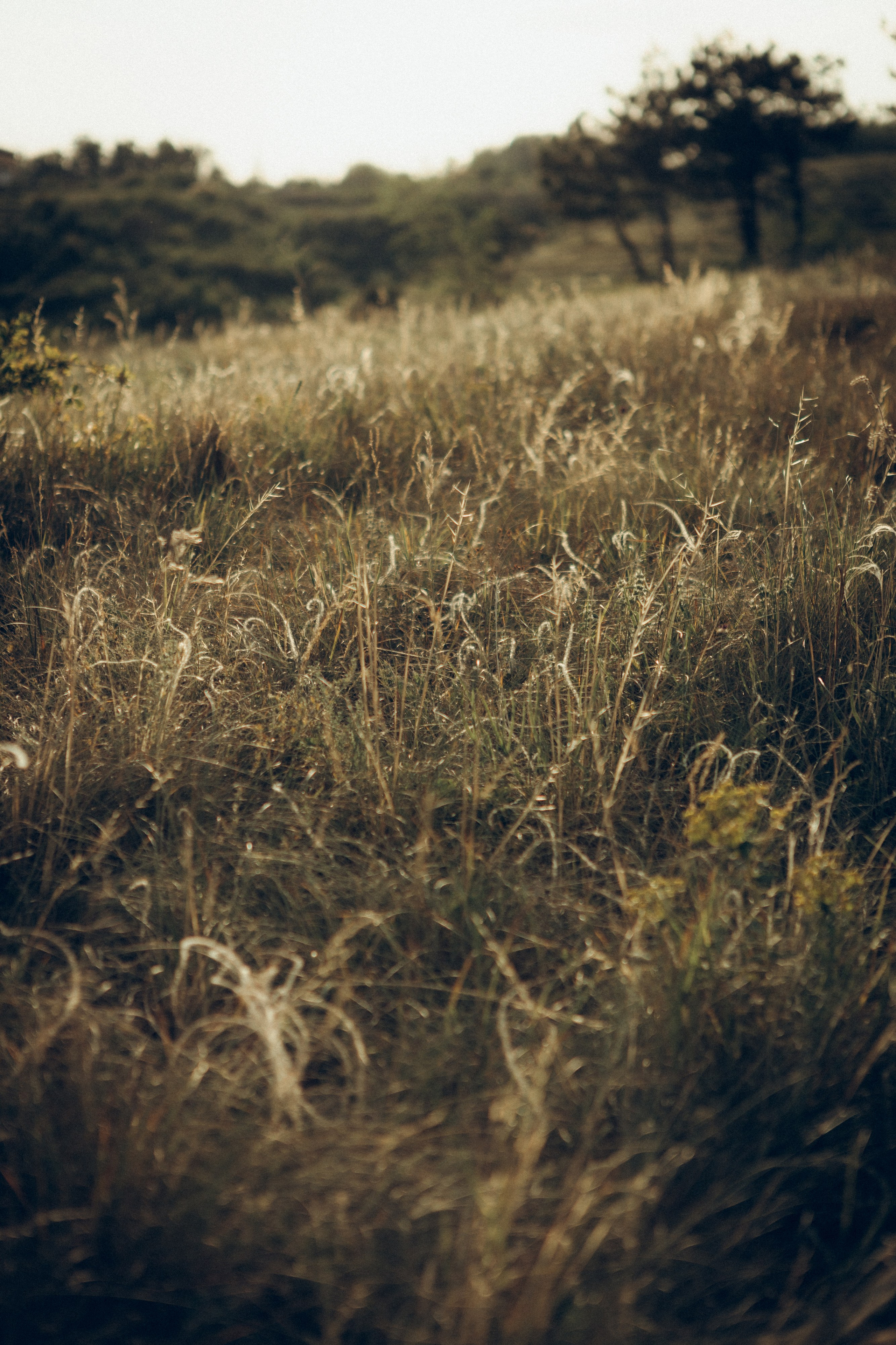 Оксана, Артем и Тимур. Семейный фотограф и фотограф на роды в Ростове-на-Дону Мухина Виктория
