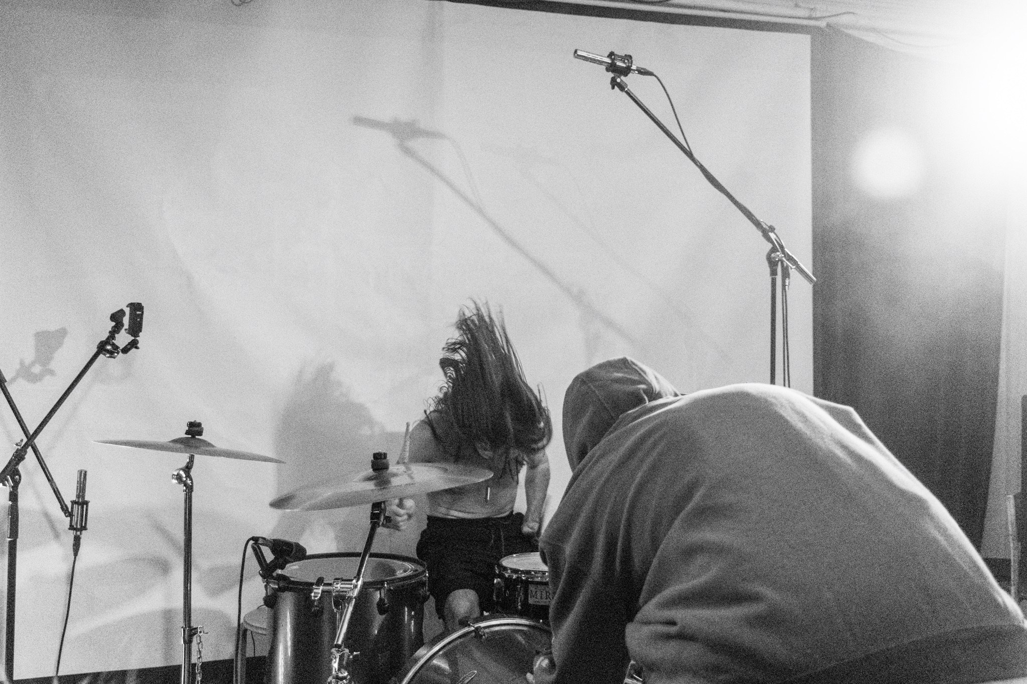 Змееед, Apodemus, 20.12.25, TAGO)))MAGO)))