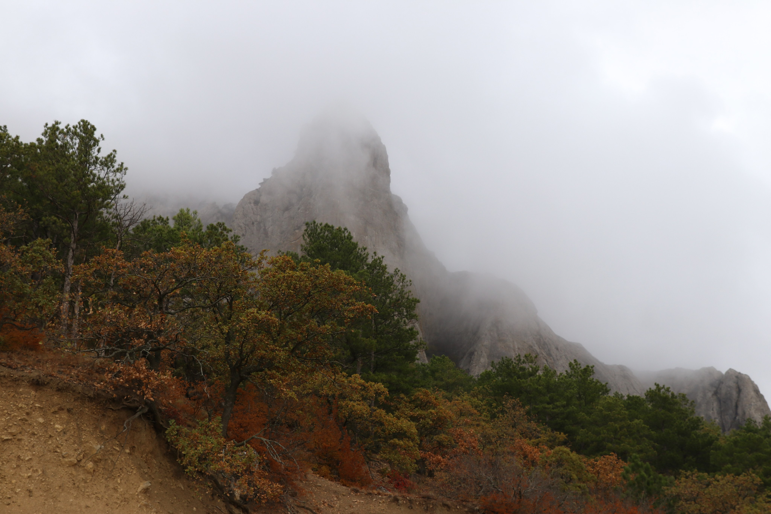 Крым. ЮБК (Гурзуф, Судак и их окрестности). Ноябрь 2023. Путешественник-фотограф из Санкт-Петербурга Татьяна Свистулина