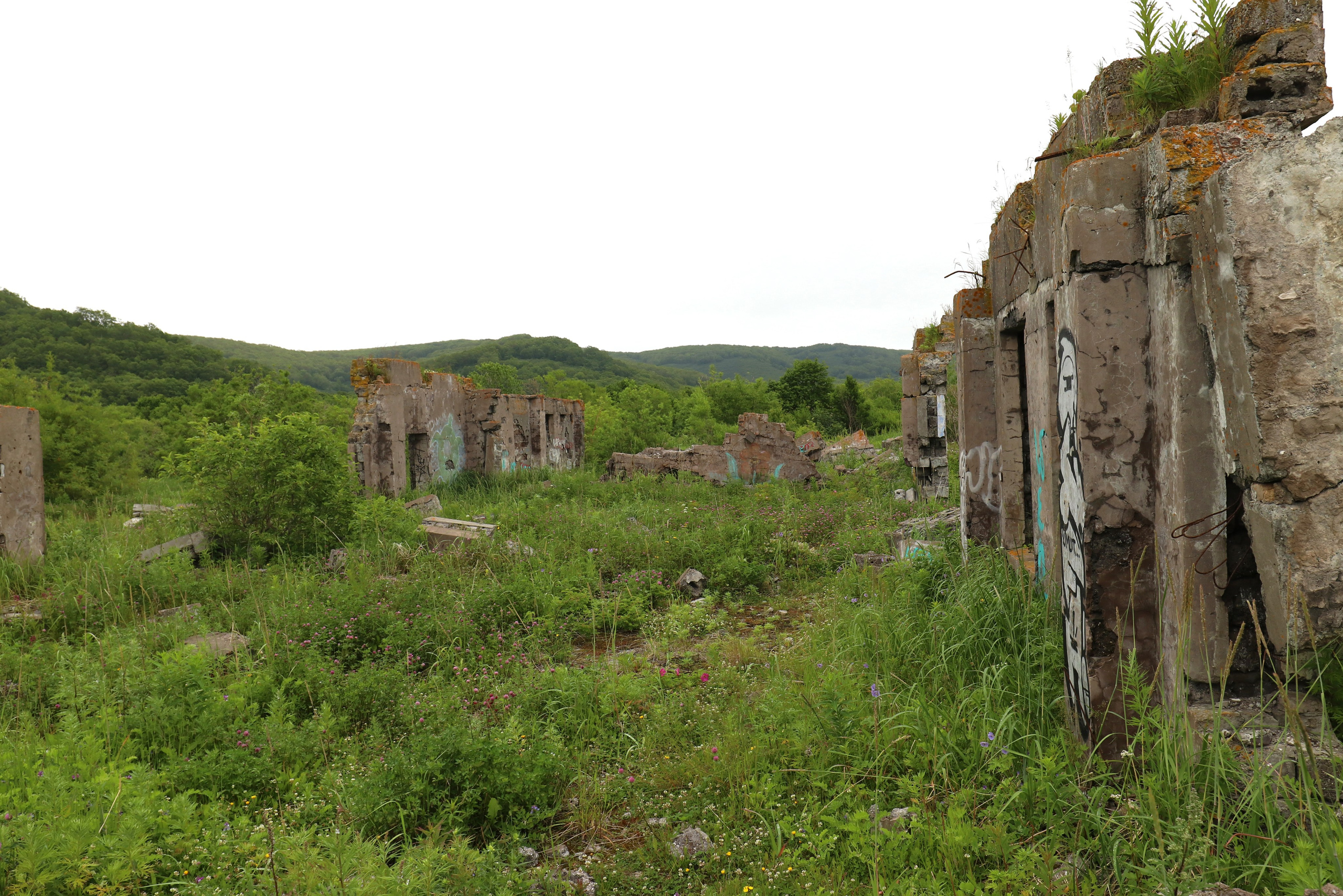 Камчатка и о. Парамушир. Июль 2024. Путешественник-фотограф из Санкт-Петербурга Татьяна Свистулина