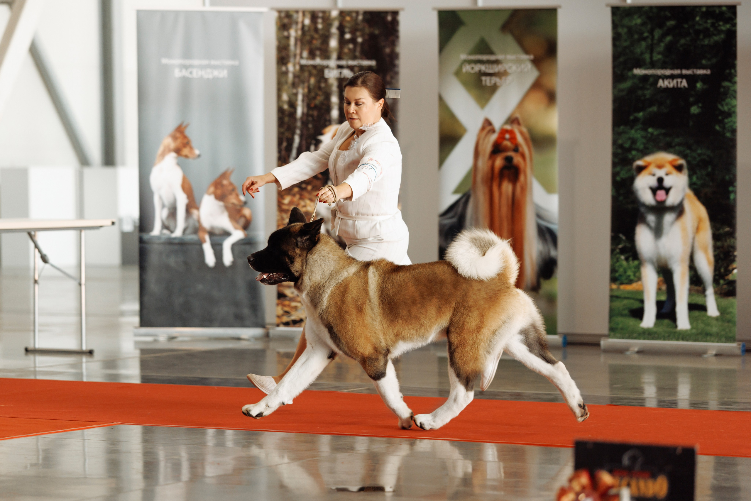 18/19.10.2025 — Екатеринбург. Фотограф-анималист Саша Вязьмина