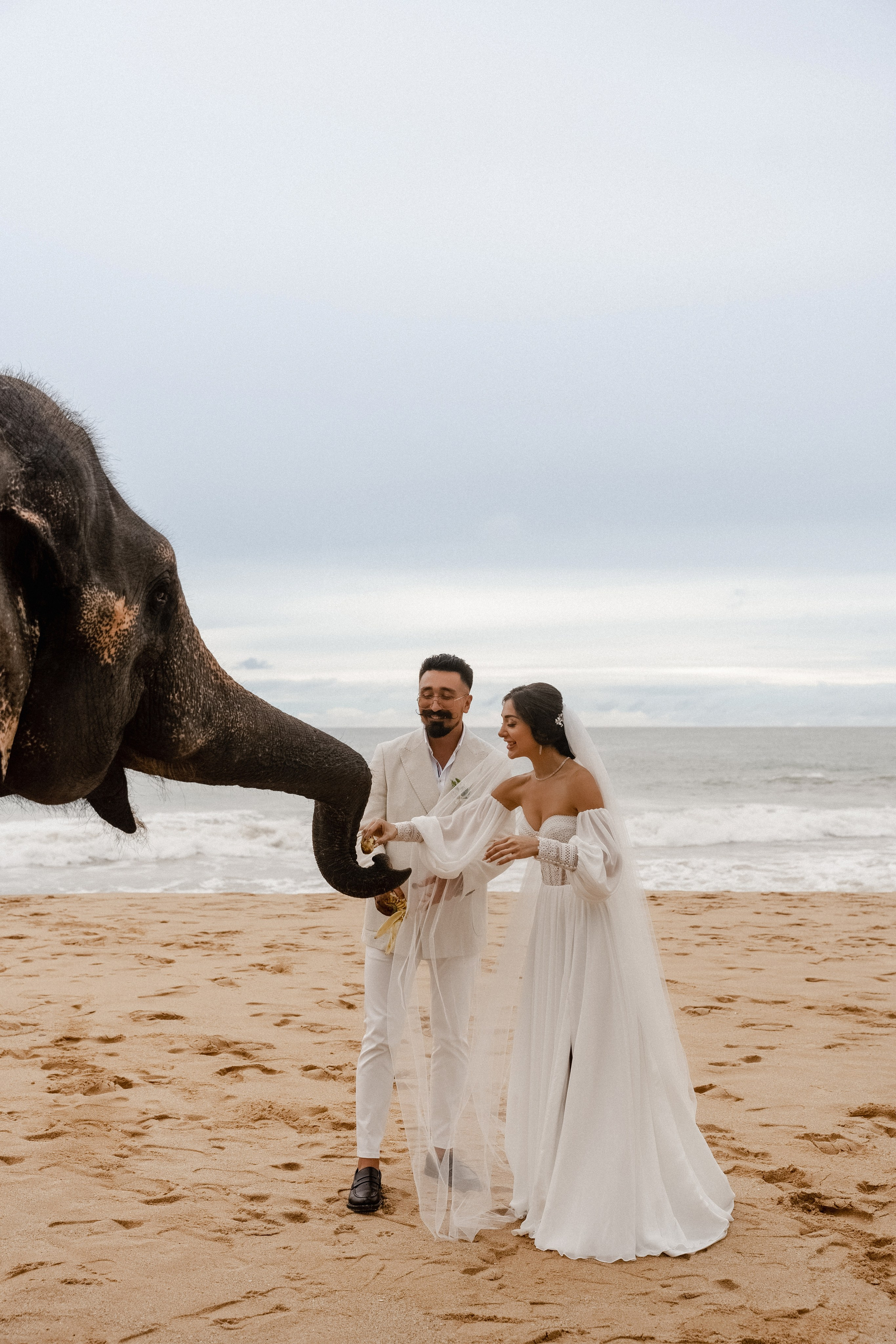 Mirza & Tamilla. Dolce_wedding