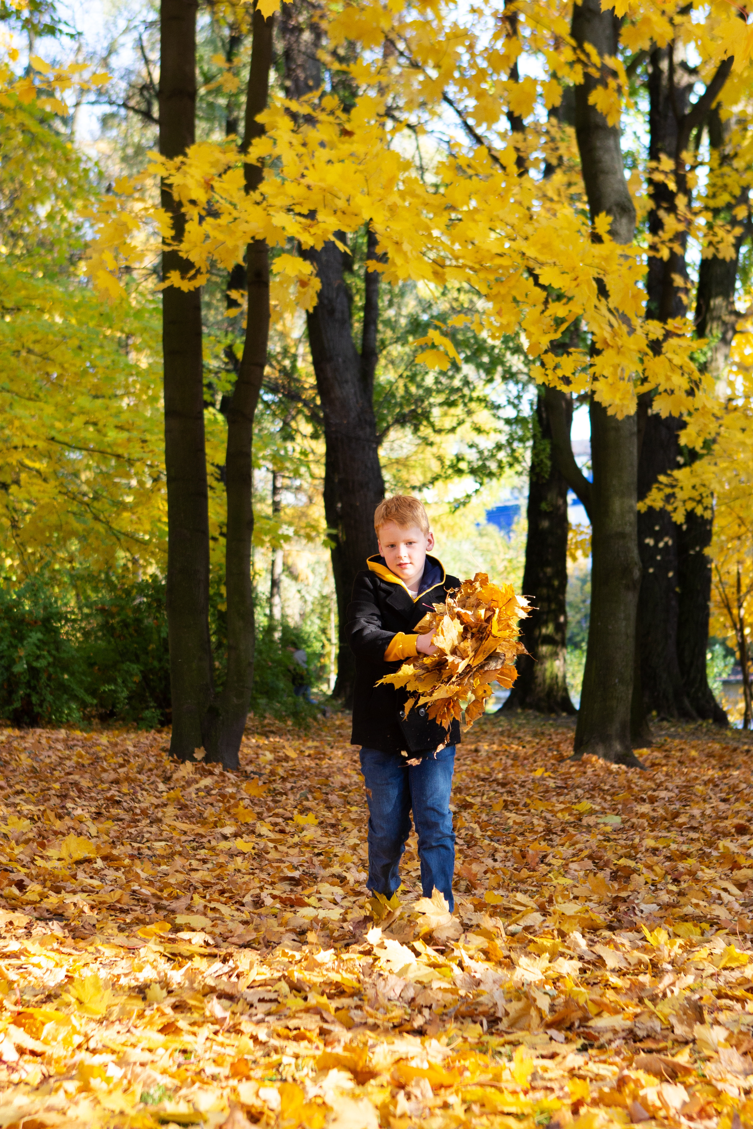Фотосессия в осеннем парке. Филатова Мария репортажный и портретный фотограф в Санкт-Петербурге