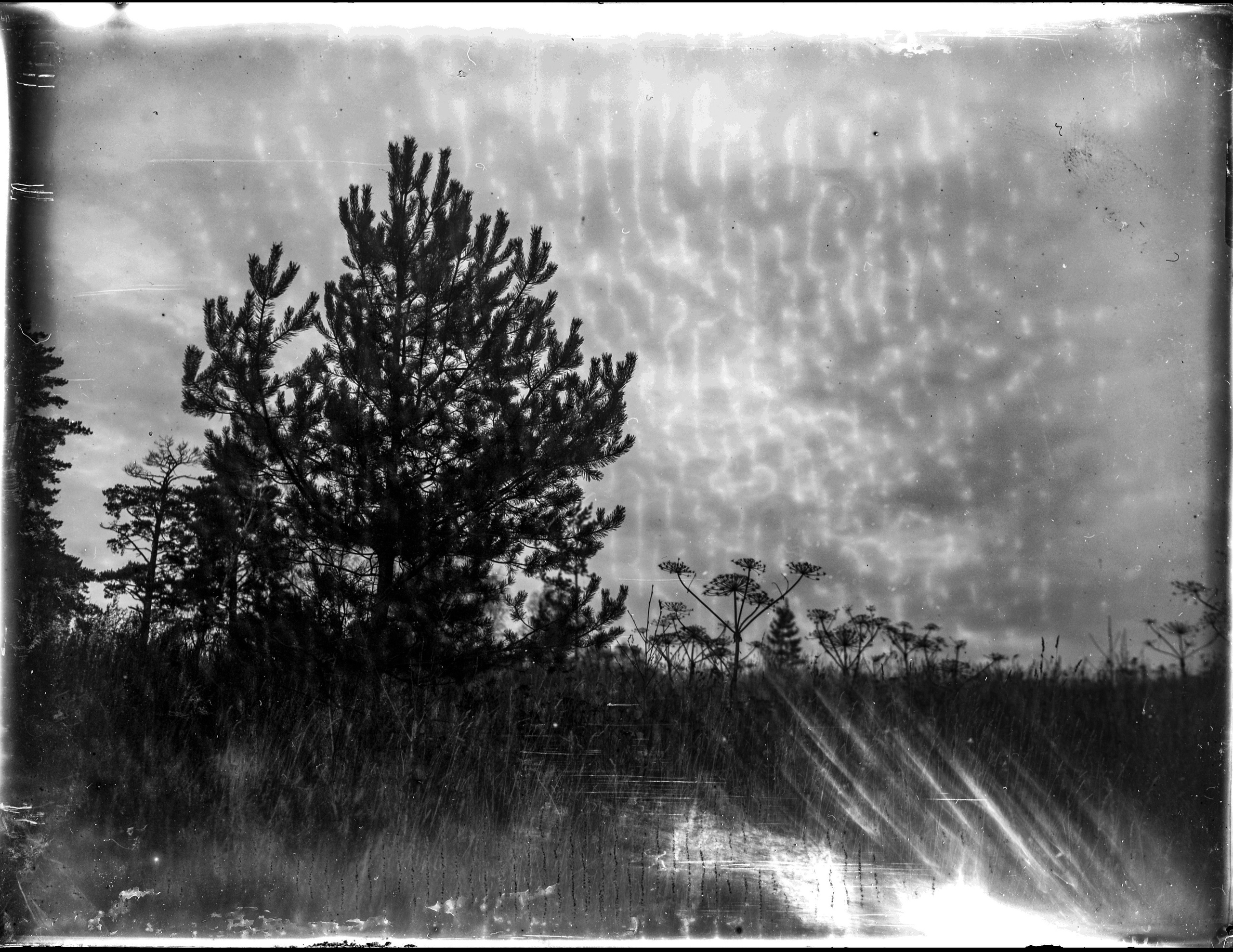 Glass plates. Darkroom aesthetics