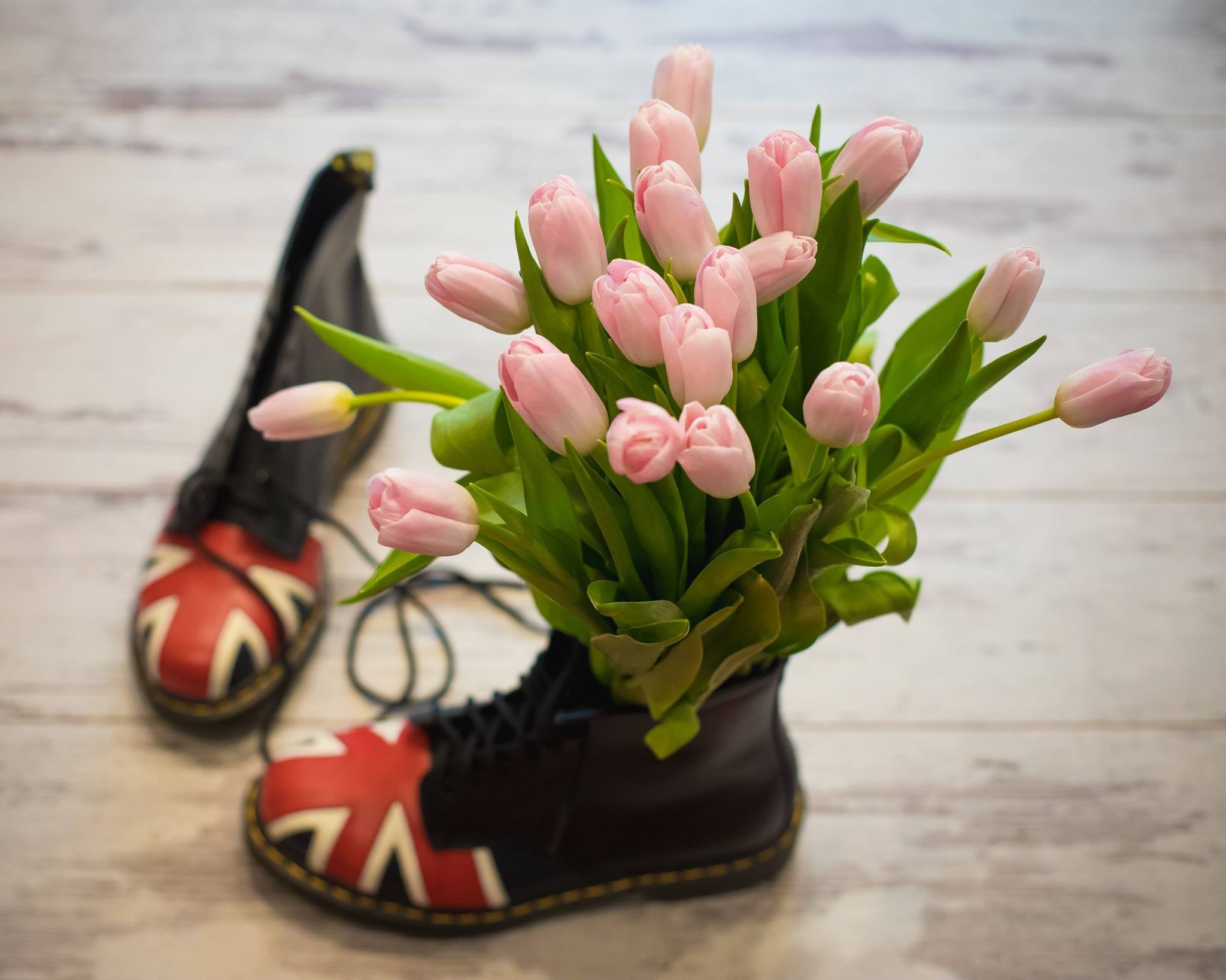 William Lawson’s 13 The Bar. Nina Petina