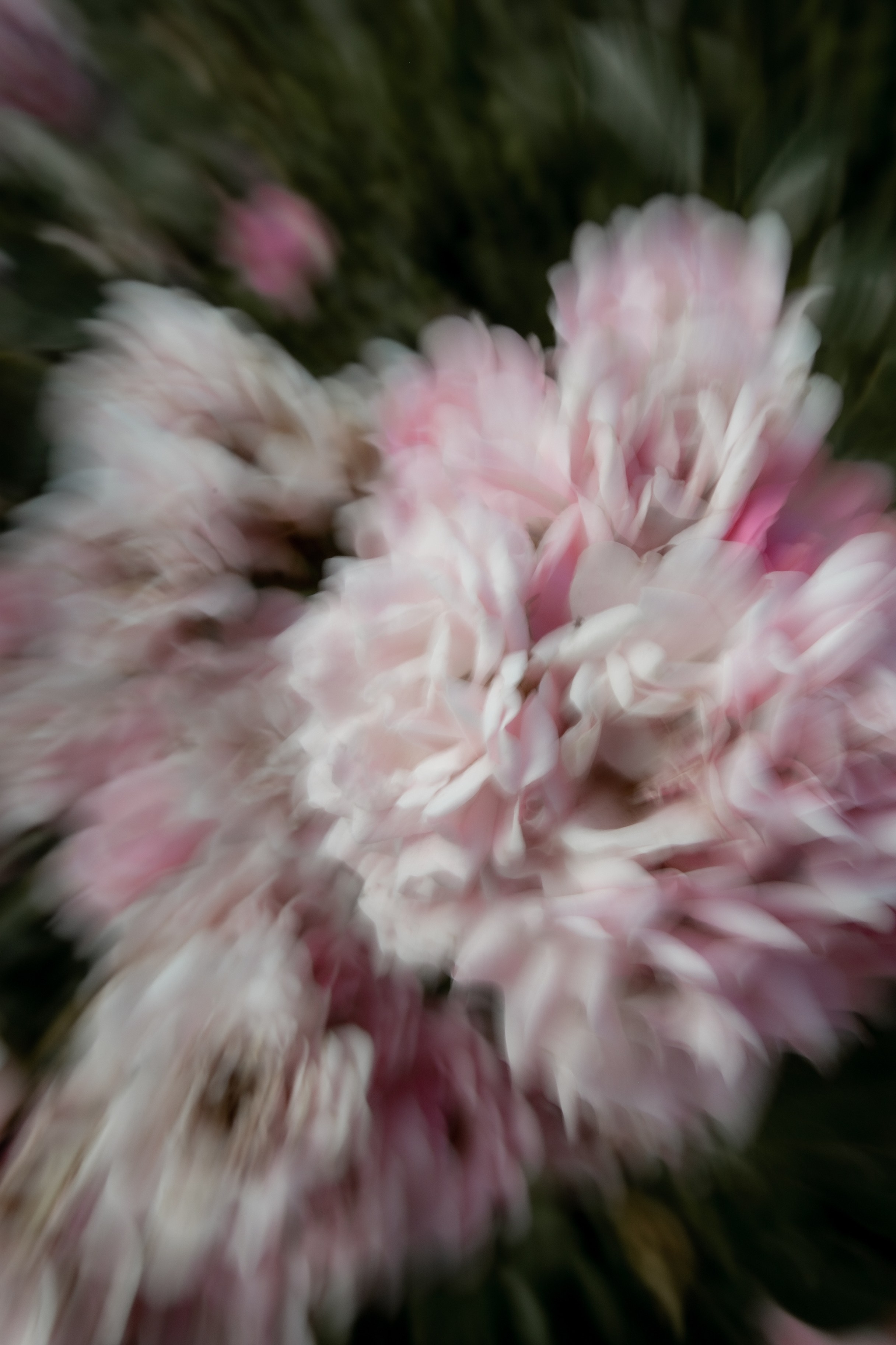 Арт-фотография. Модный фотограф в Самаре/Москве Ксения Ли