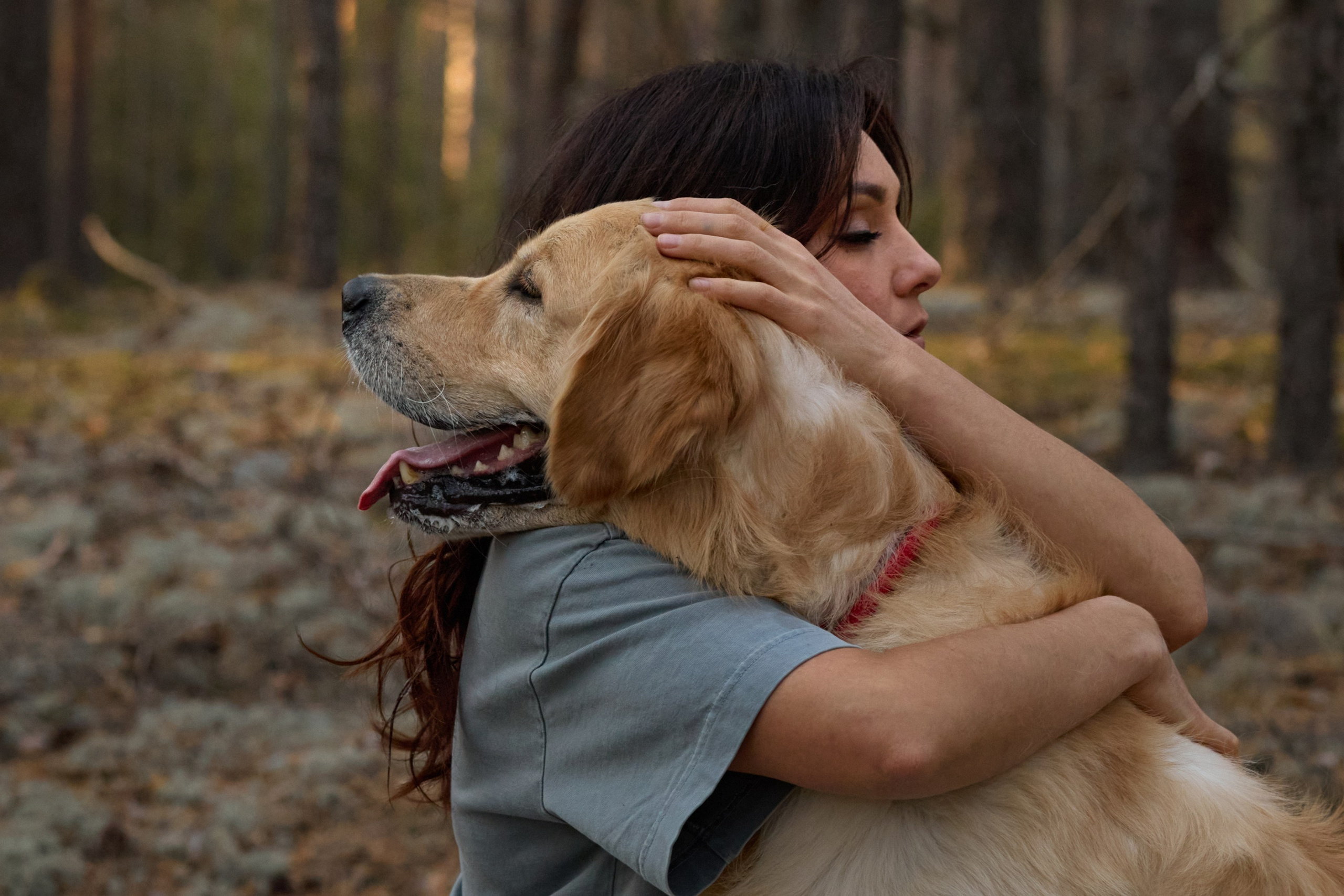 В Марийских лесах. Фотограф анималист в Казани Алина Сулейманова. Фотограф животных