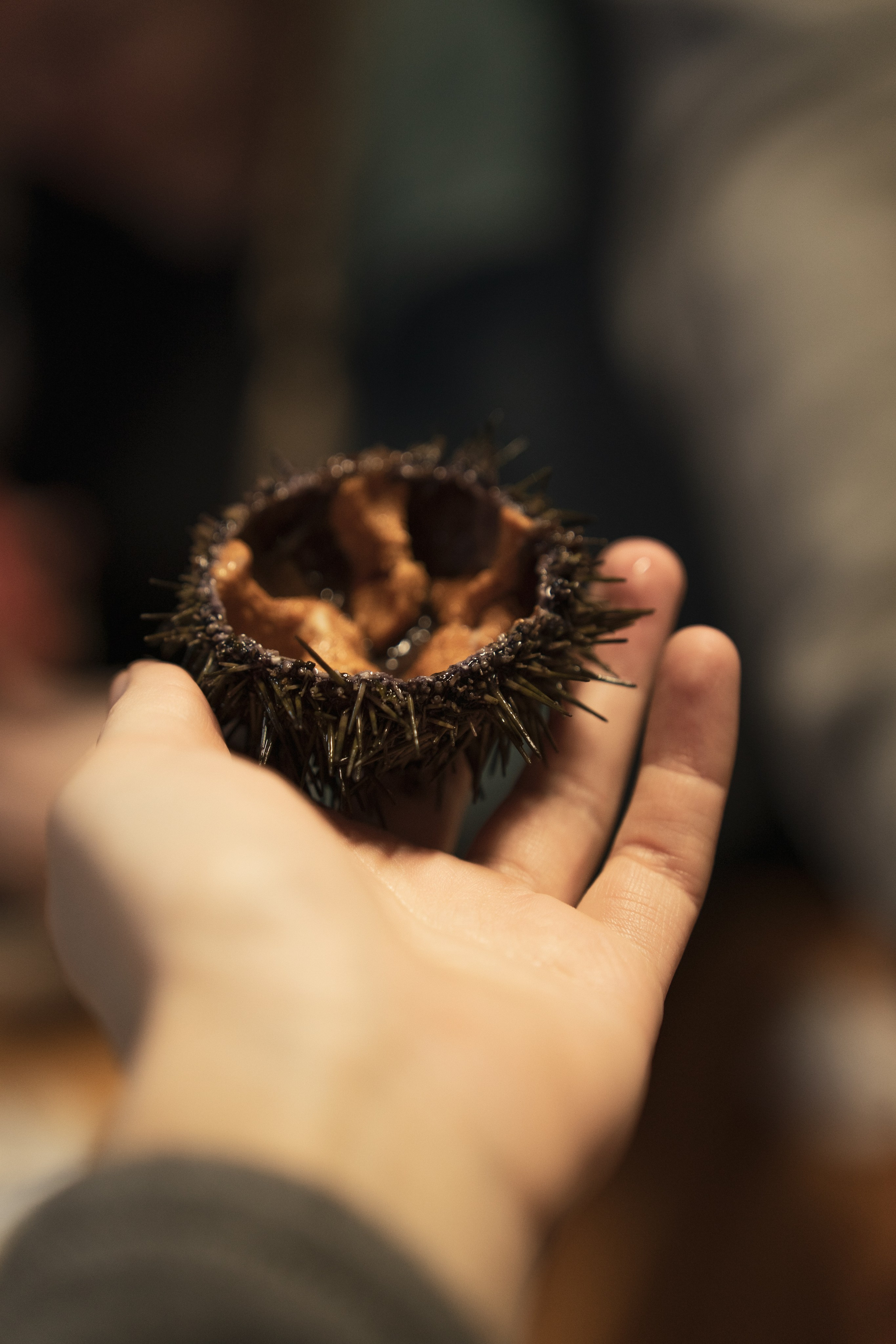 Териберка — репортаж тура Ковчег 51. Видеограф в Санкт-Петербурге Анастасия Коок