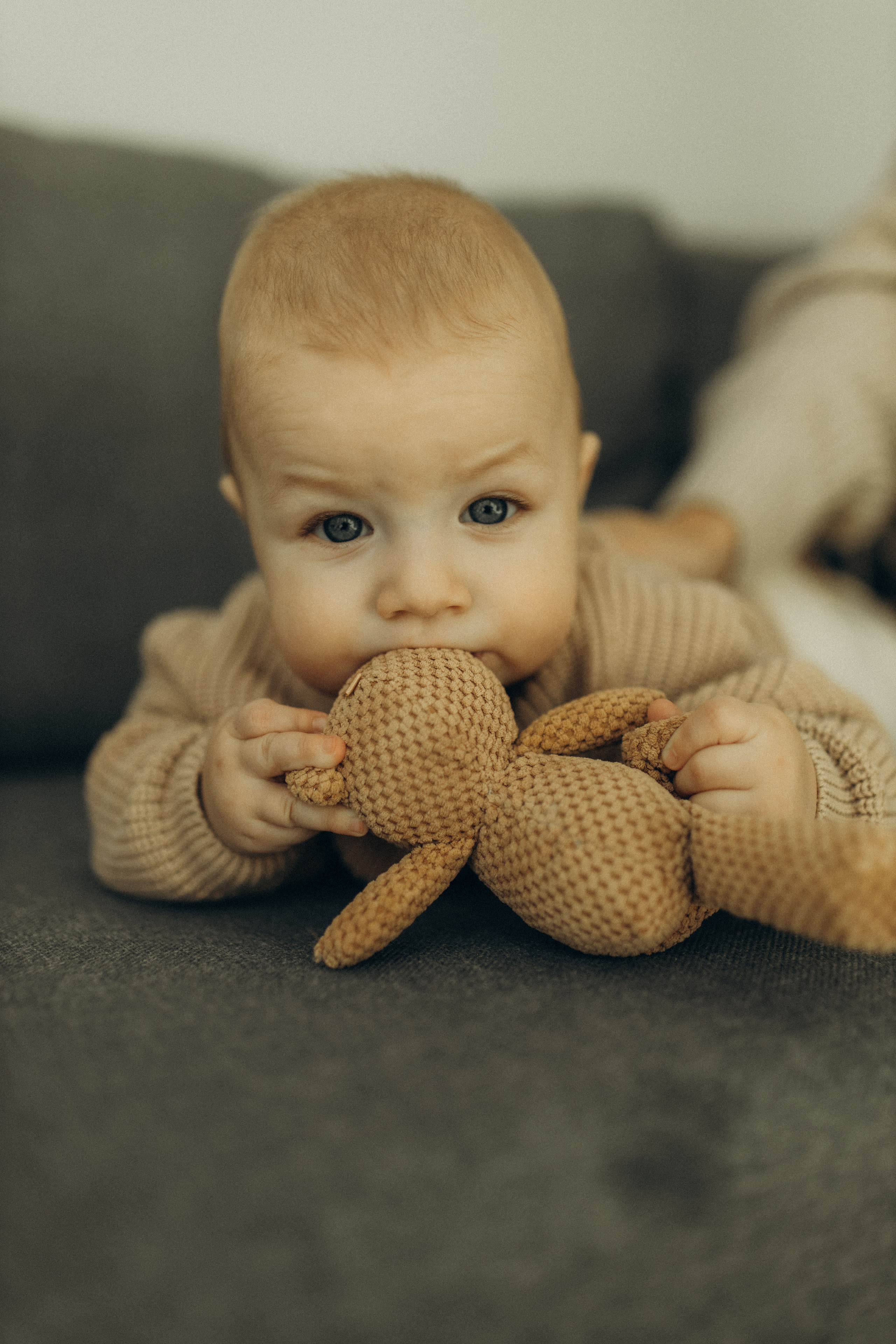 Алена, Марк. Семейный фотограф Оля Гладченко