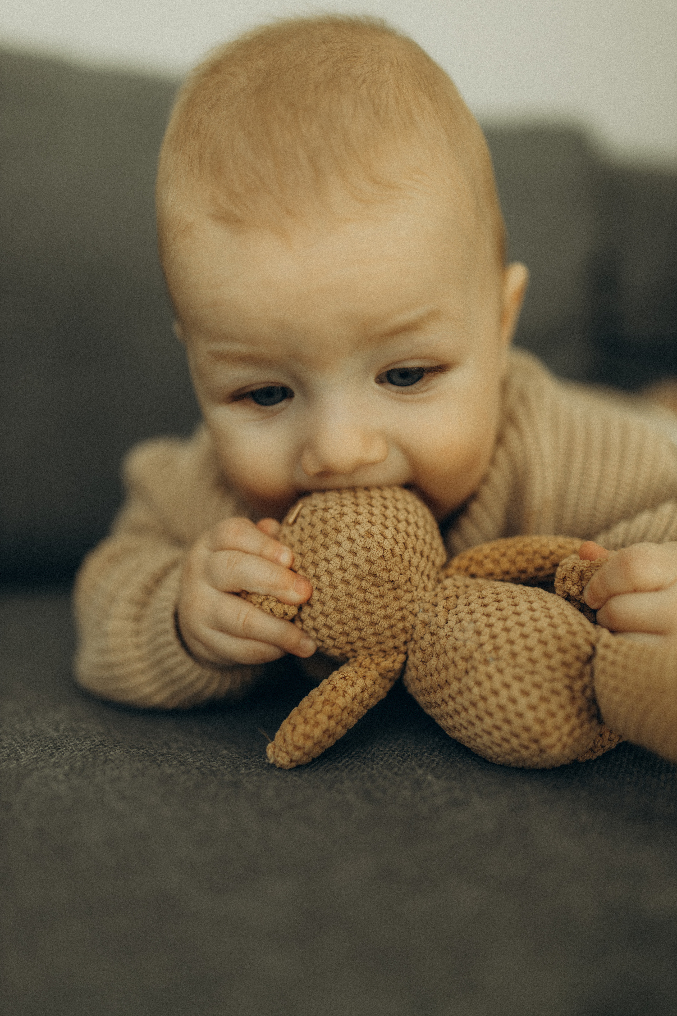 Алена, Марк. Семейный фотограф Оля Гладченко