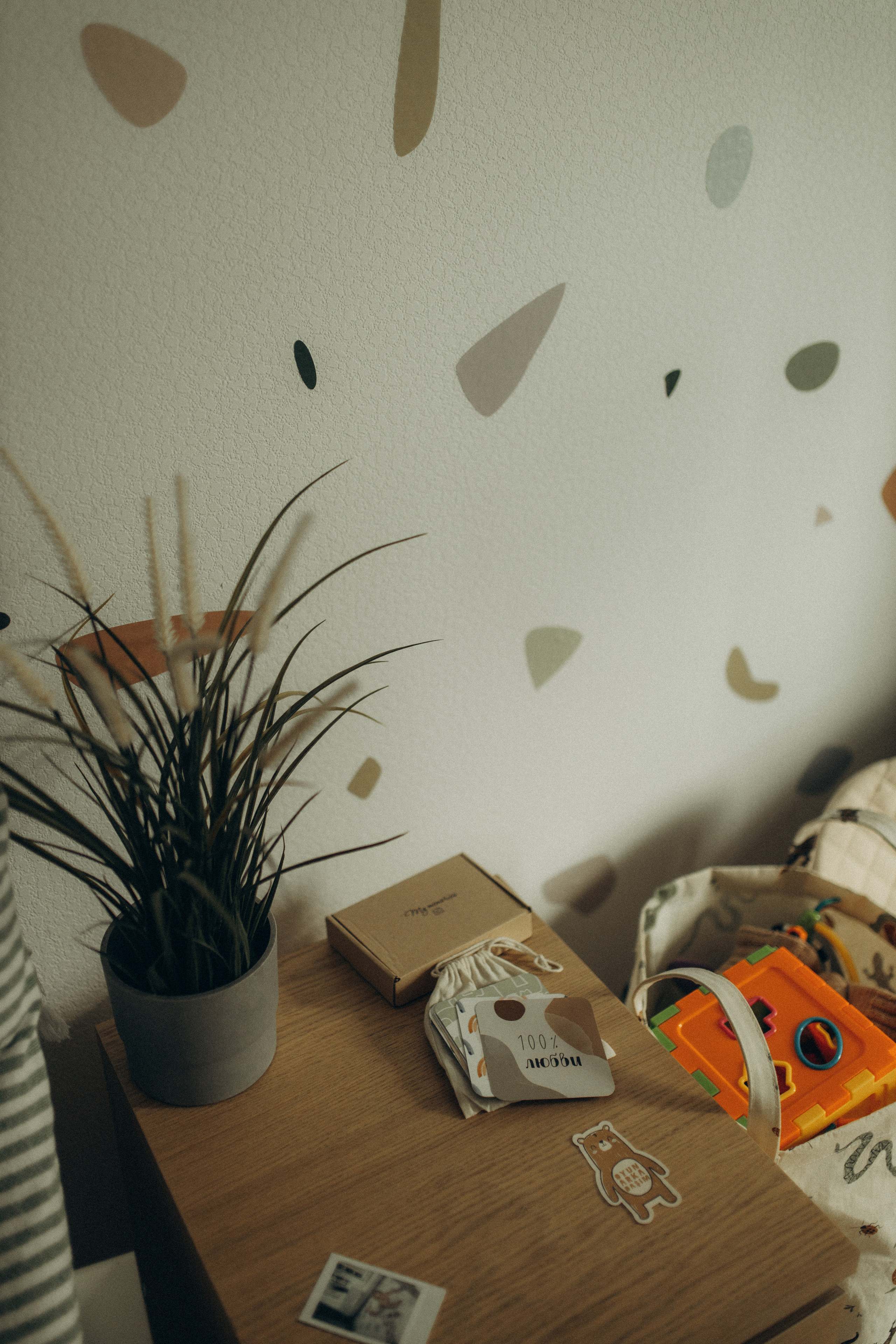 Алена, Марк. Семейный фотограф Оля Гладченко