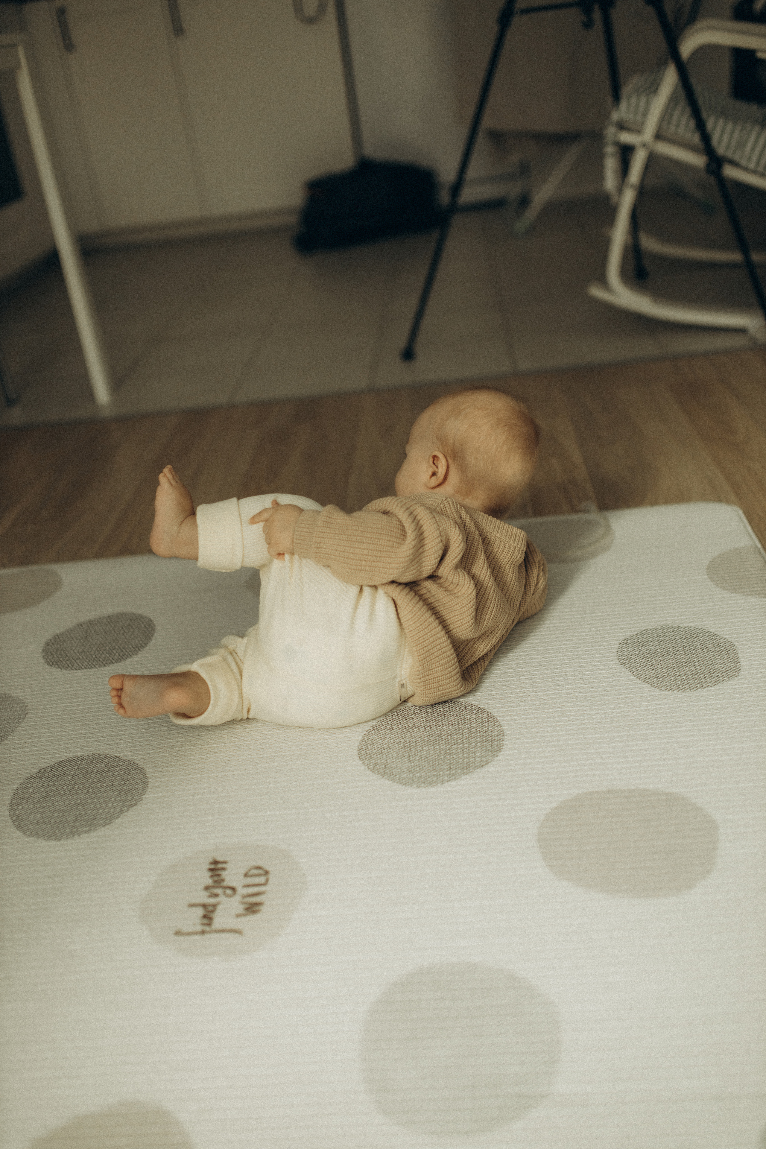 Алена, Марк. Семейный фотограф Оля Гладченко