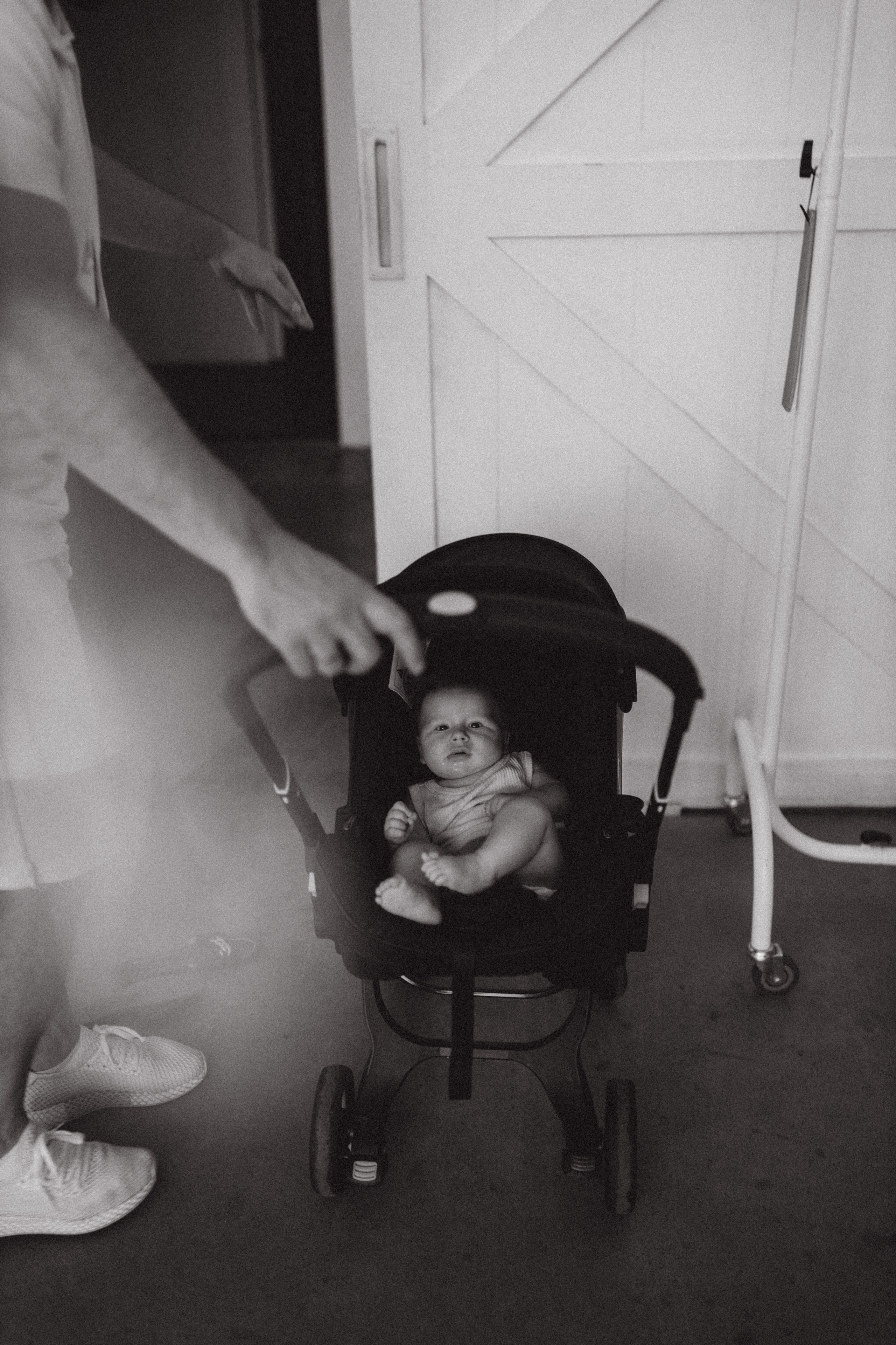 Маша, Рома, Мирон, Софийка, Марк. Семейный фотограф Оля Гладченко