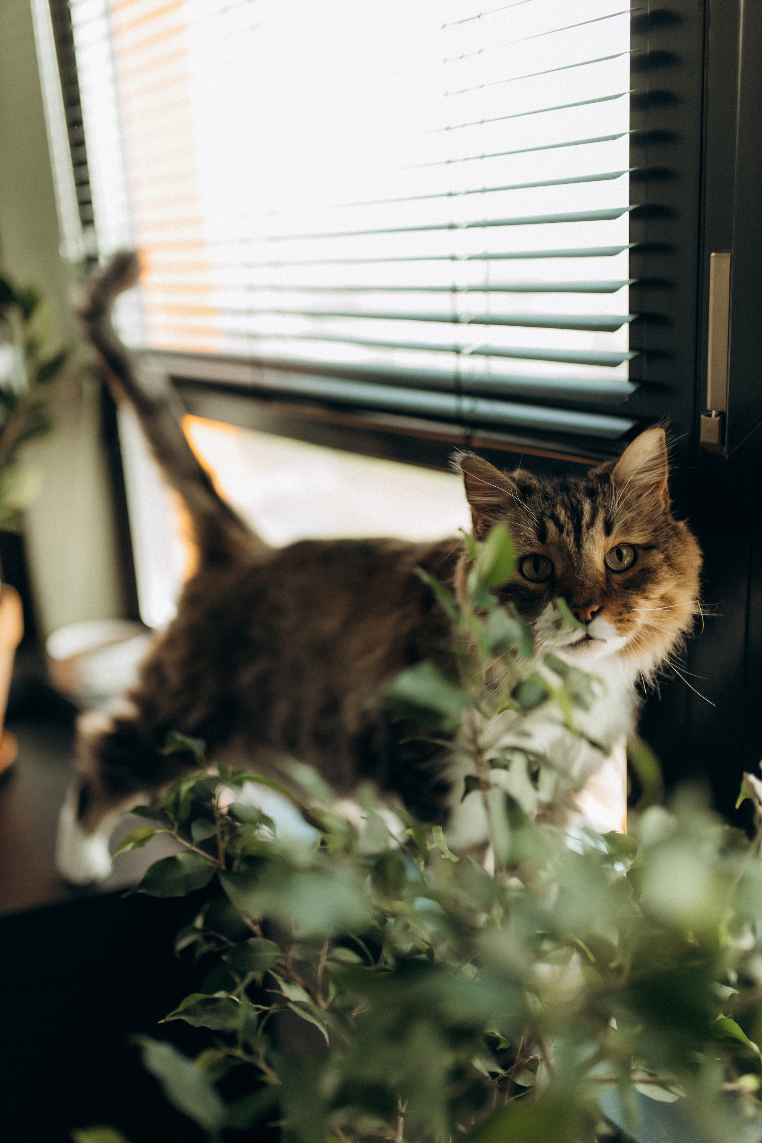 Настя, Оливия, Антон. Семейный фотограф Оля Гладченко