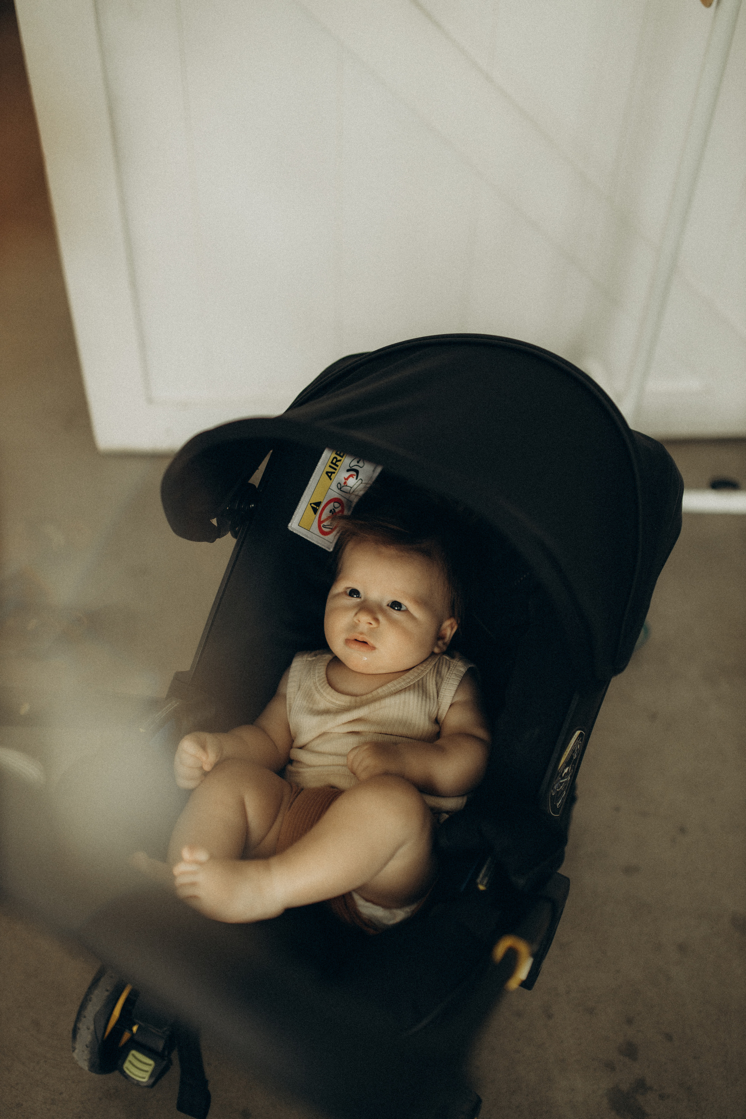 Маша, Рома, Мирон, Софийка, Марк. Семейный фотограф Оля Гладченко