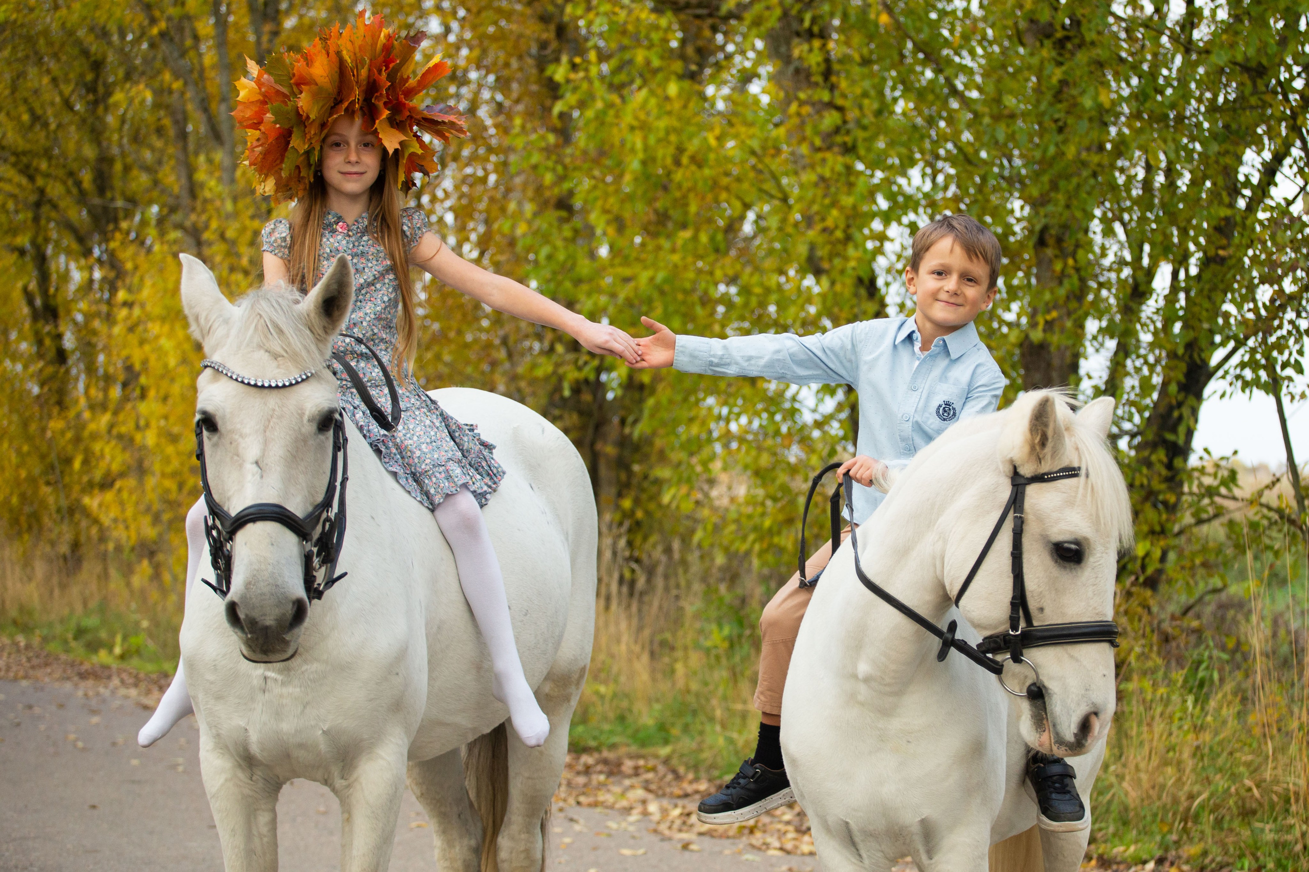 Конные фотосессии (съёмки с лошадьми). Главная