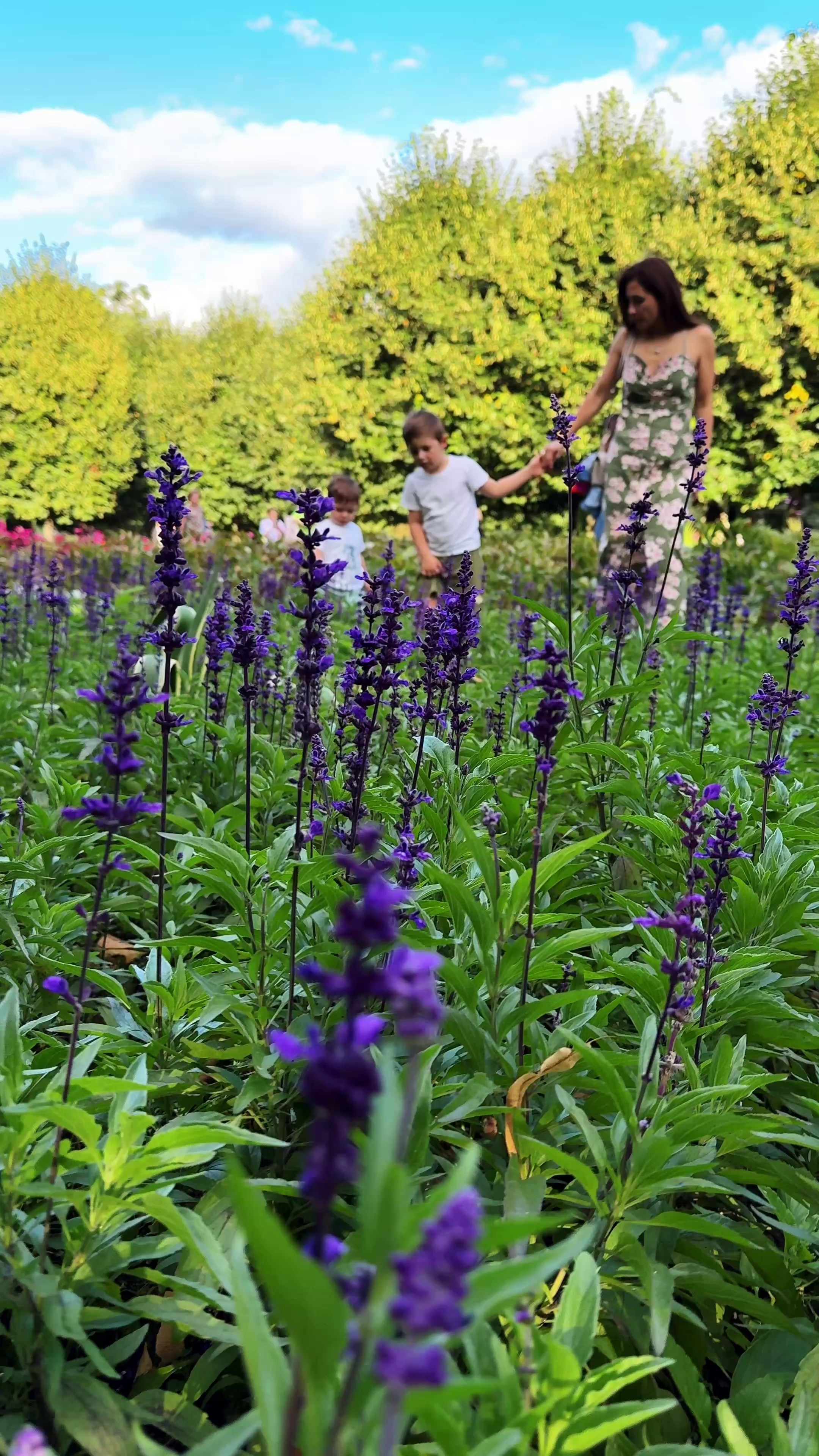 Видео-съёмка. Студия фото, видеографии и мультимедийного дизайна в Москве Multi Frame Studio