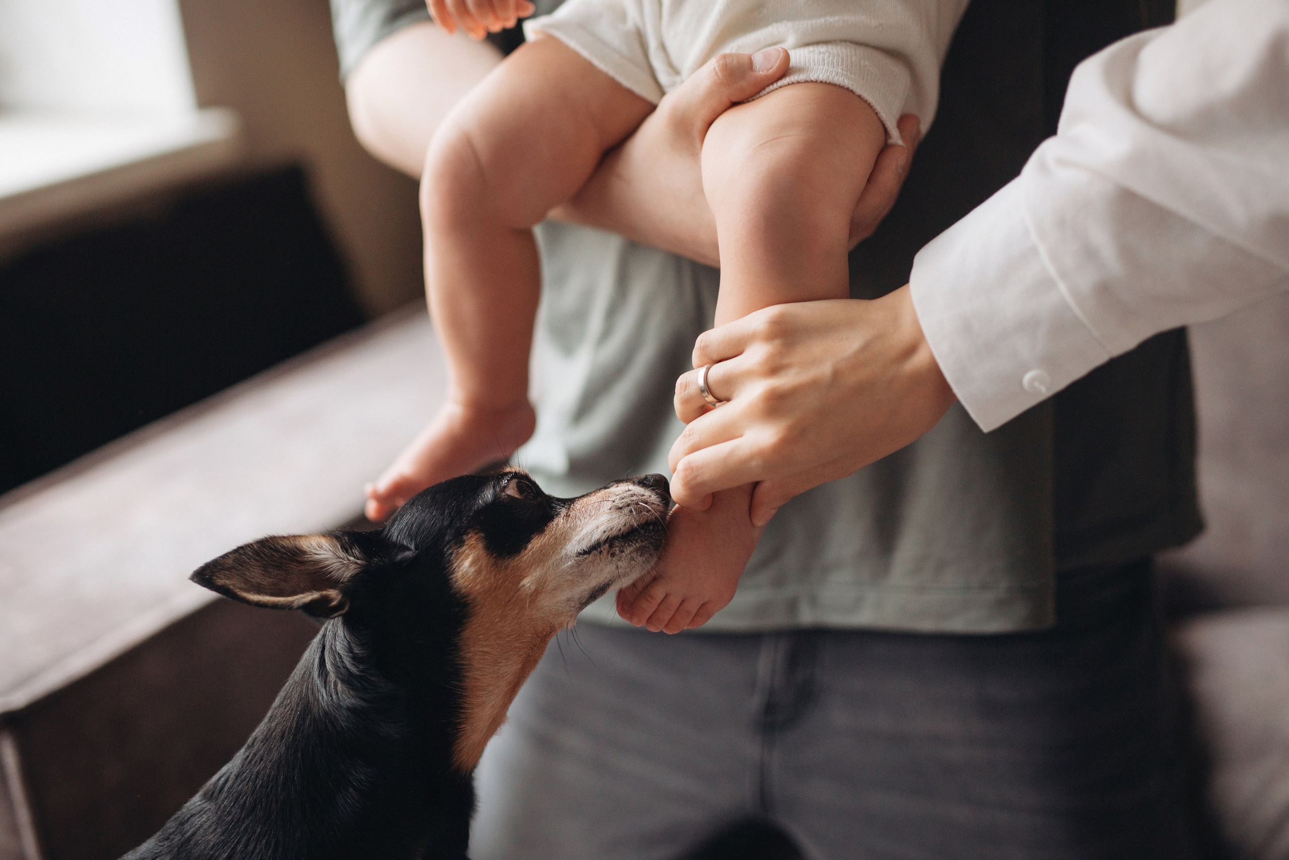 Настя, Рома, Варя в Томске. Семейный фотограф в Москве Марина Петра