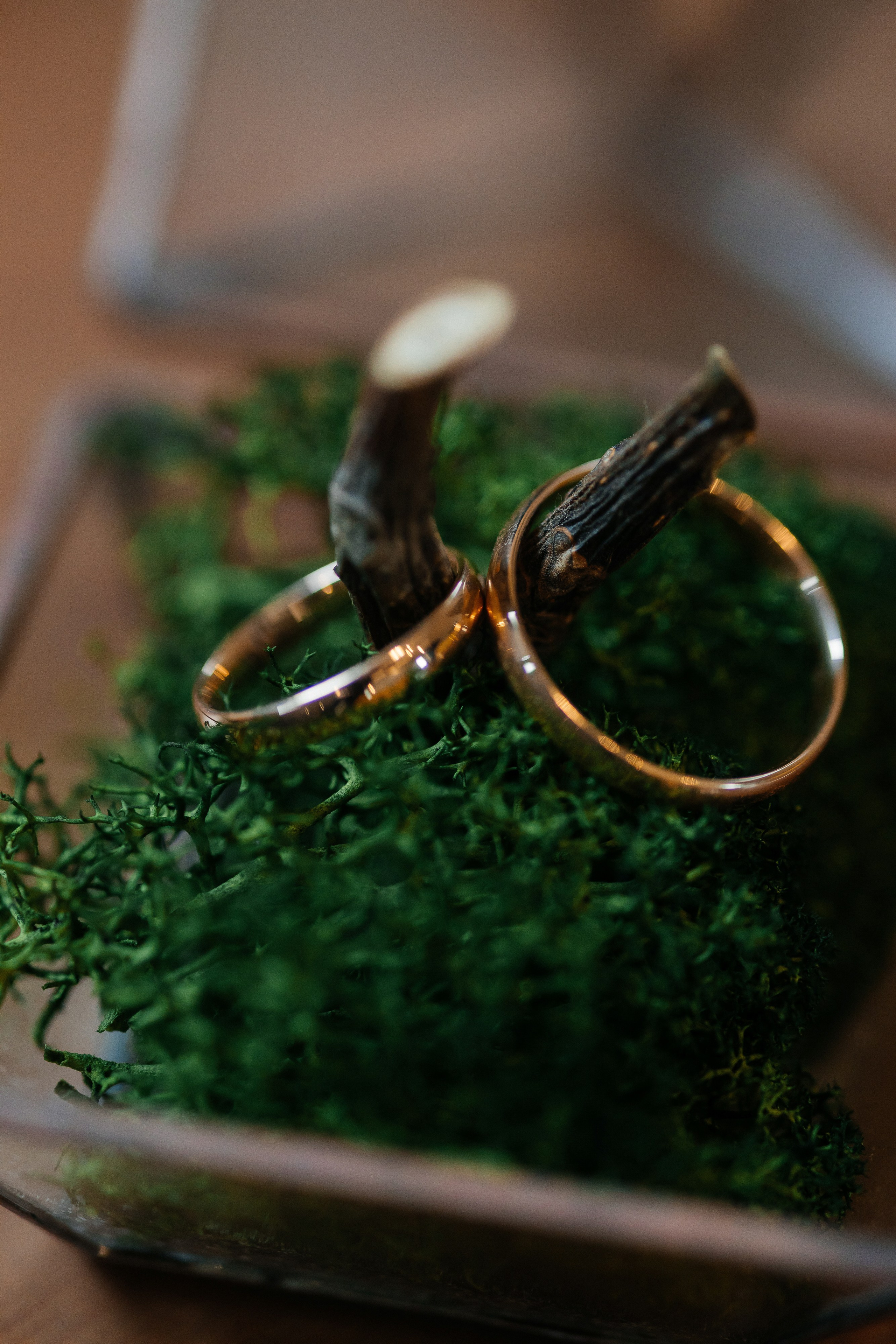 Романтическая выездная церемония. Олег Сверчков | Свадебный фотограф Вологда