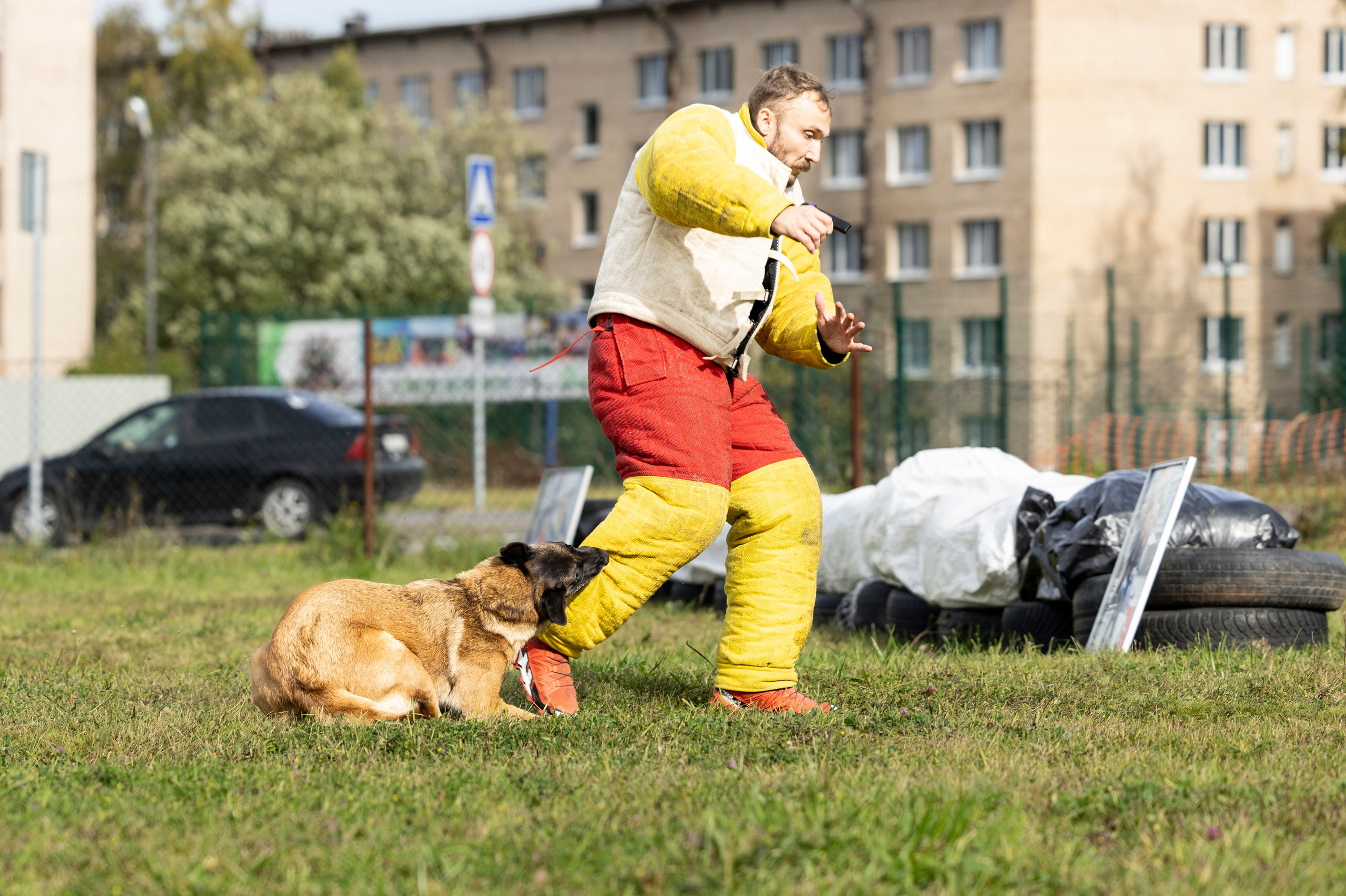 Испытания по Мондьорингу г. Пушкин. Фотограф-анималист Анна Маринич