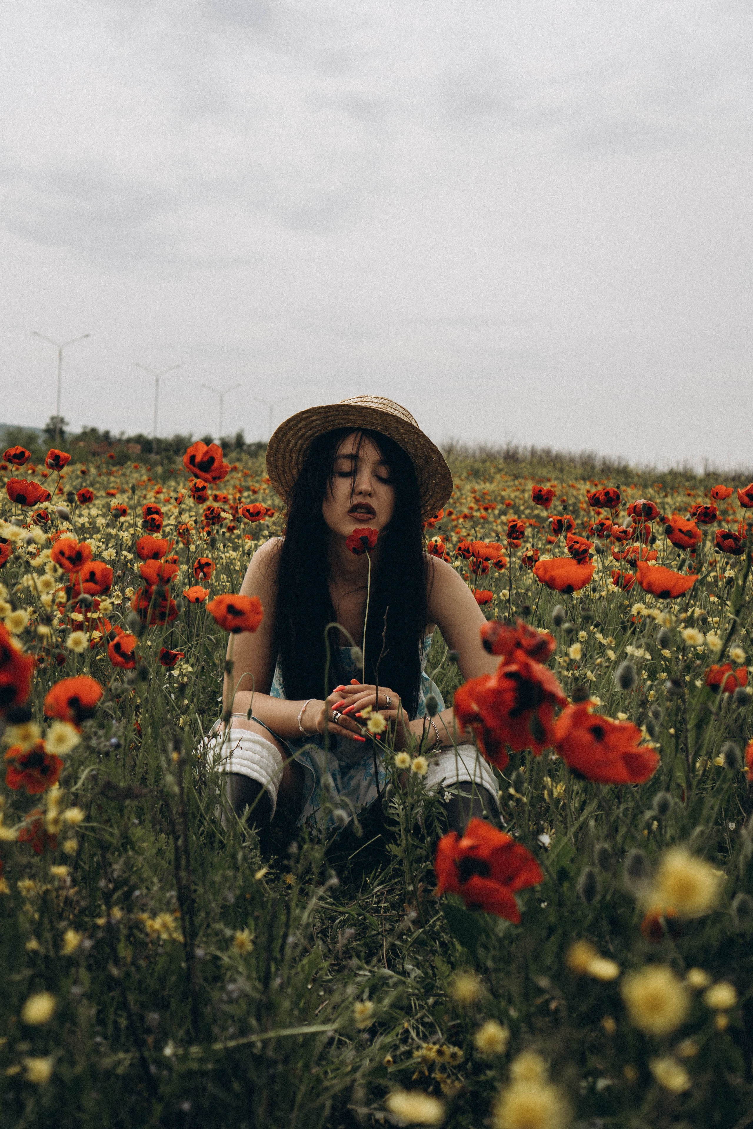 Цветочная поляна. Профессиональный фотограф, Санкт-Петербург — Виктория Богомолова