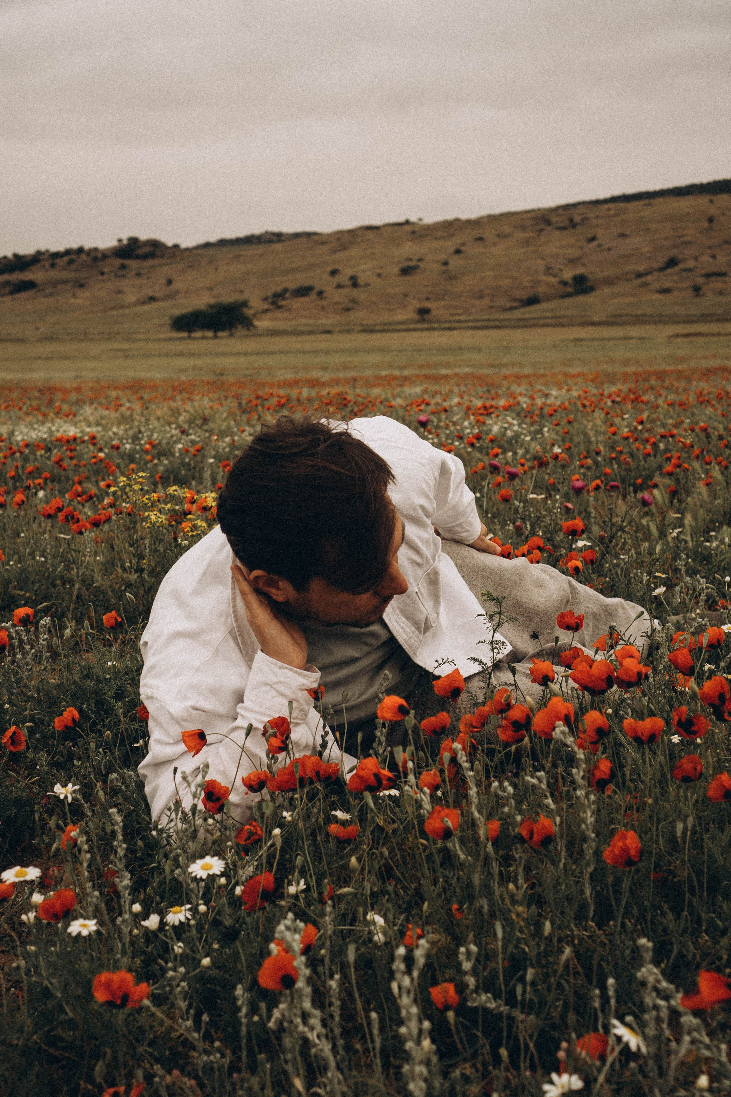 Маки. Профессиональный фотограф, Санкт-Петербург — Виктория Богомолова