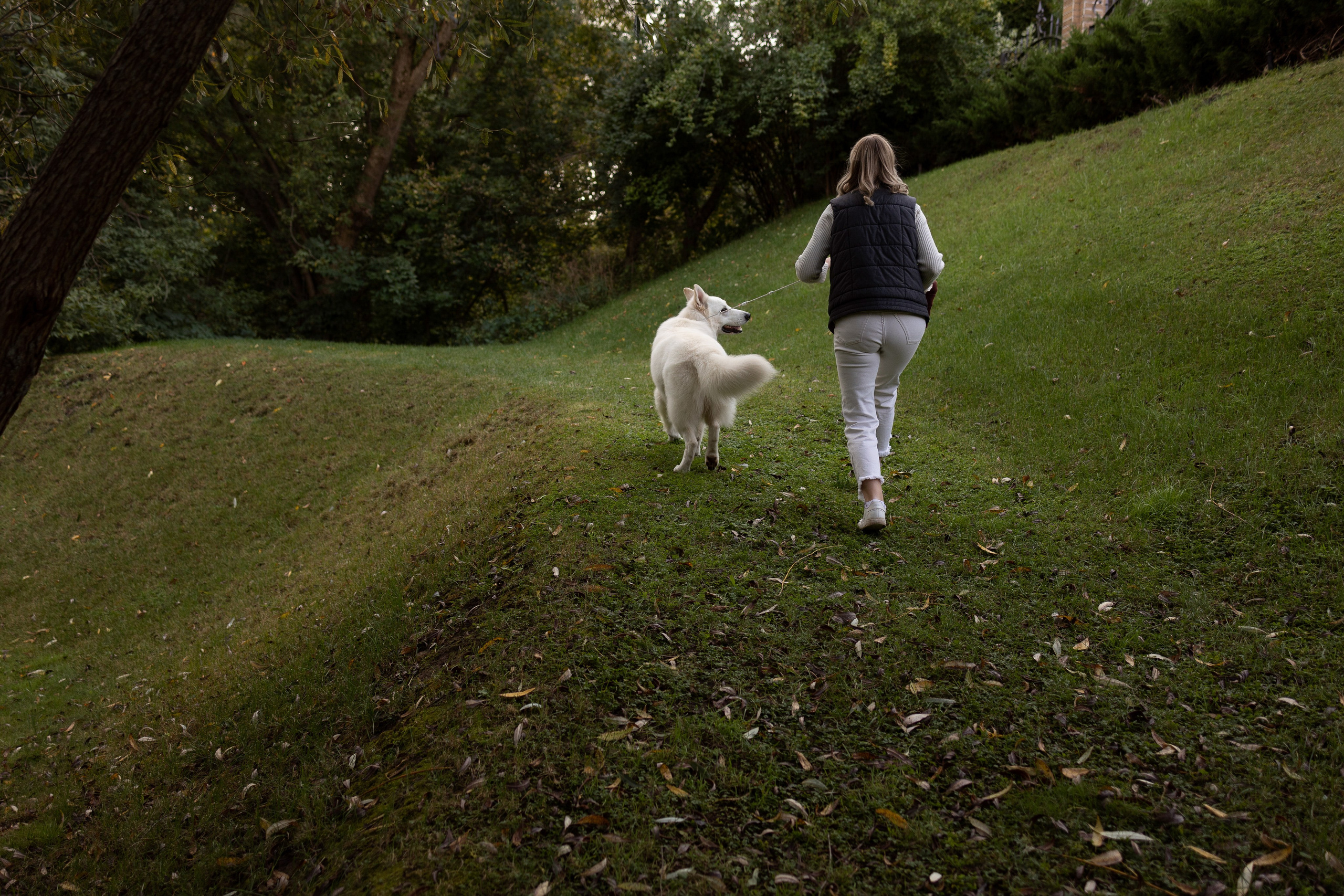 Алина и Райден. Фотограф — Анималист Наталья Тямушева