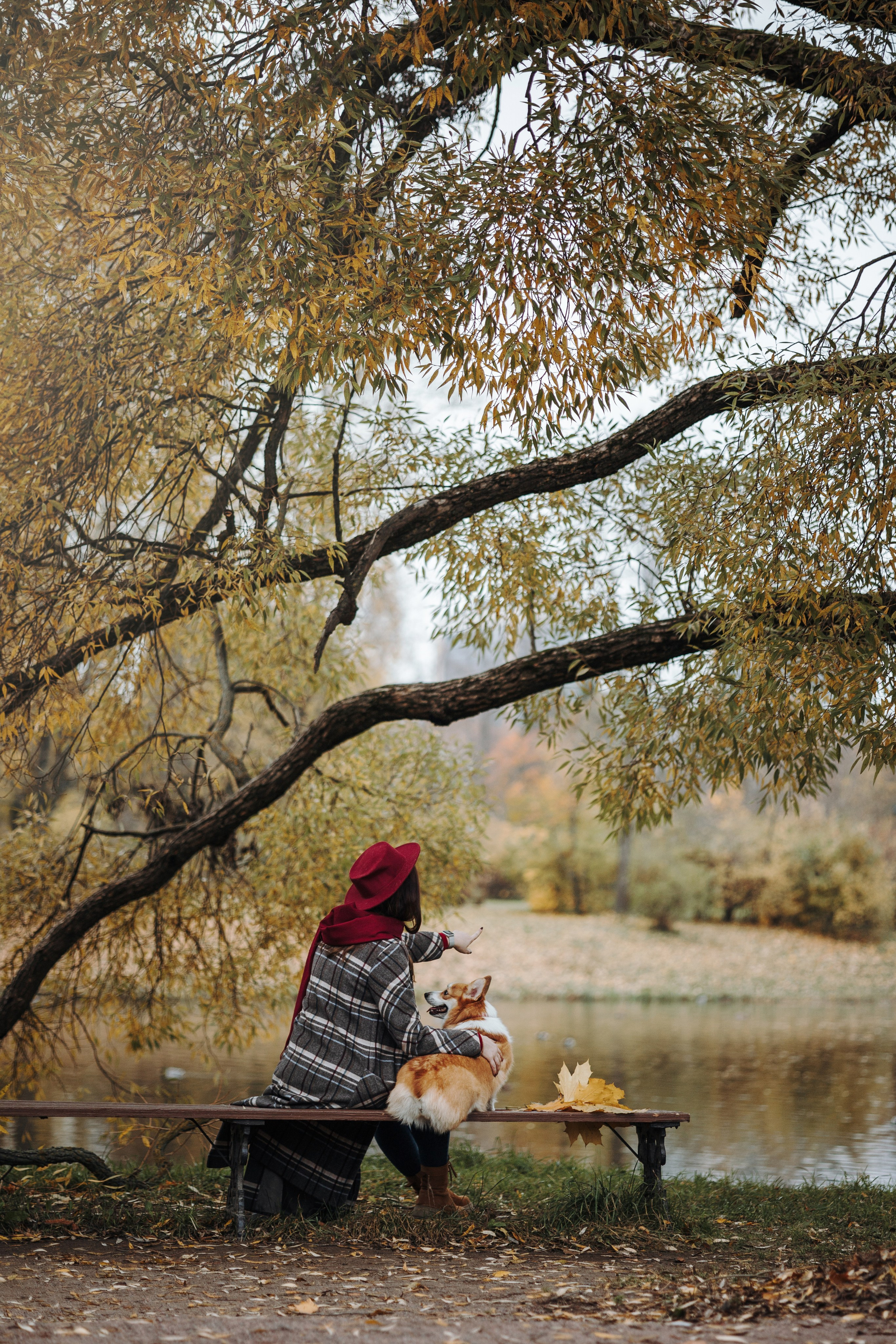 Юля и Терри. Фотограф — Анималист | Санкт-Петербург