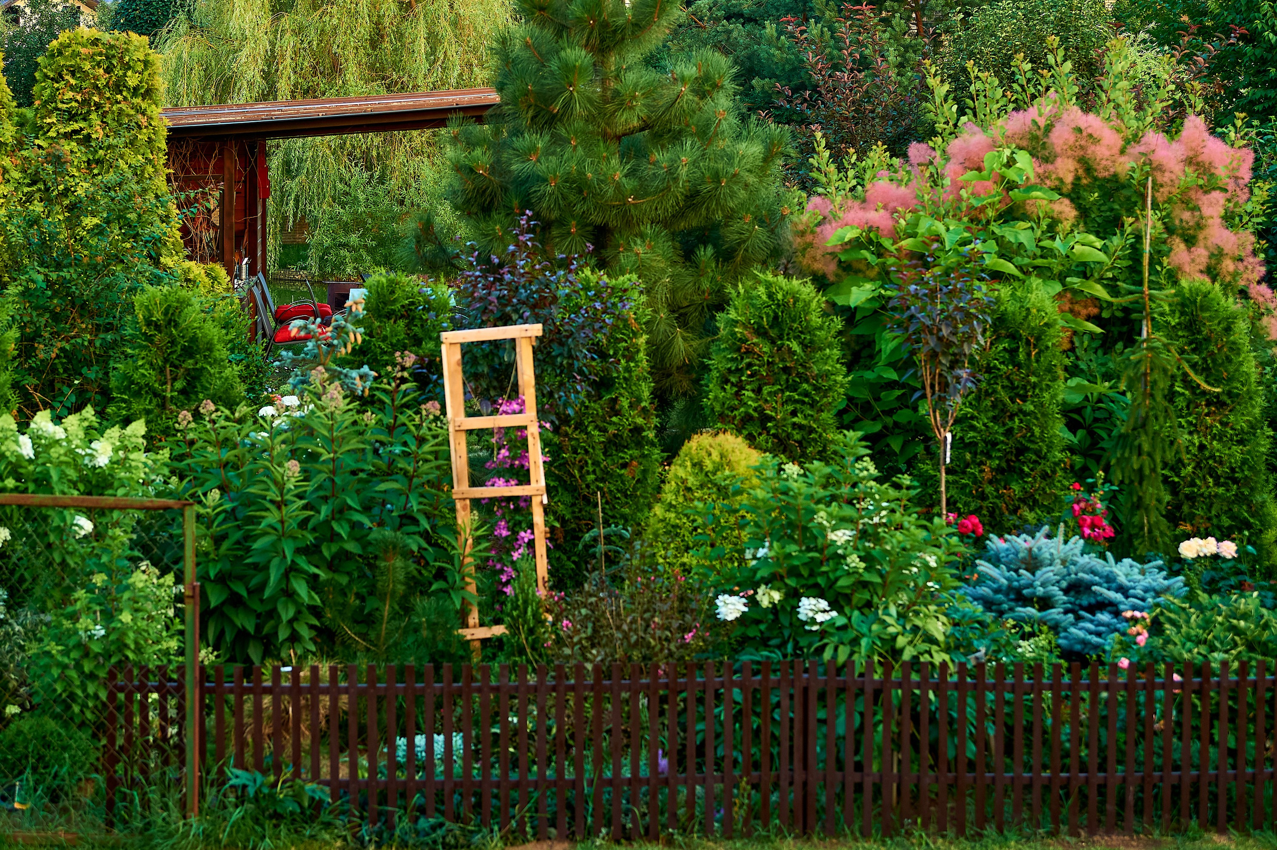 Фотосъёмка ландшафтных рабт