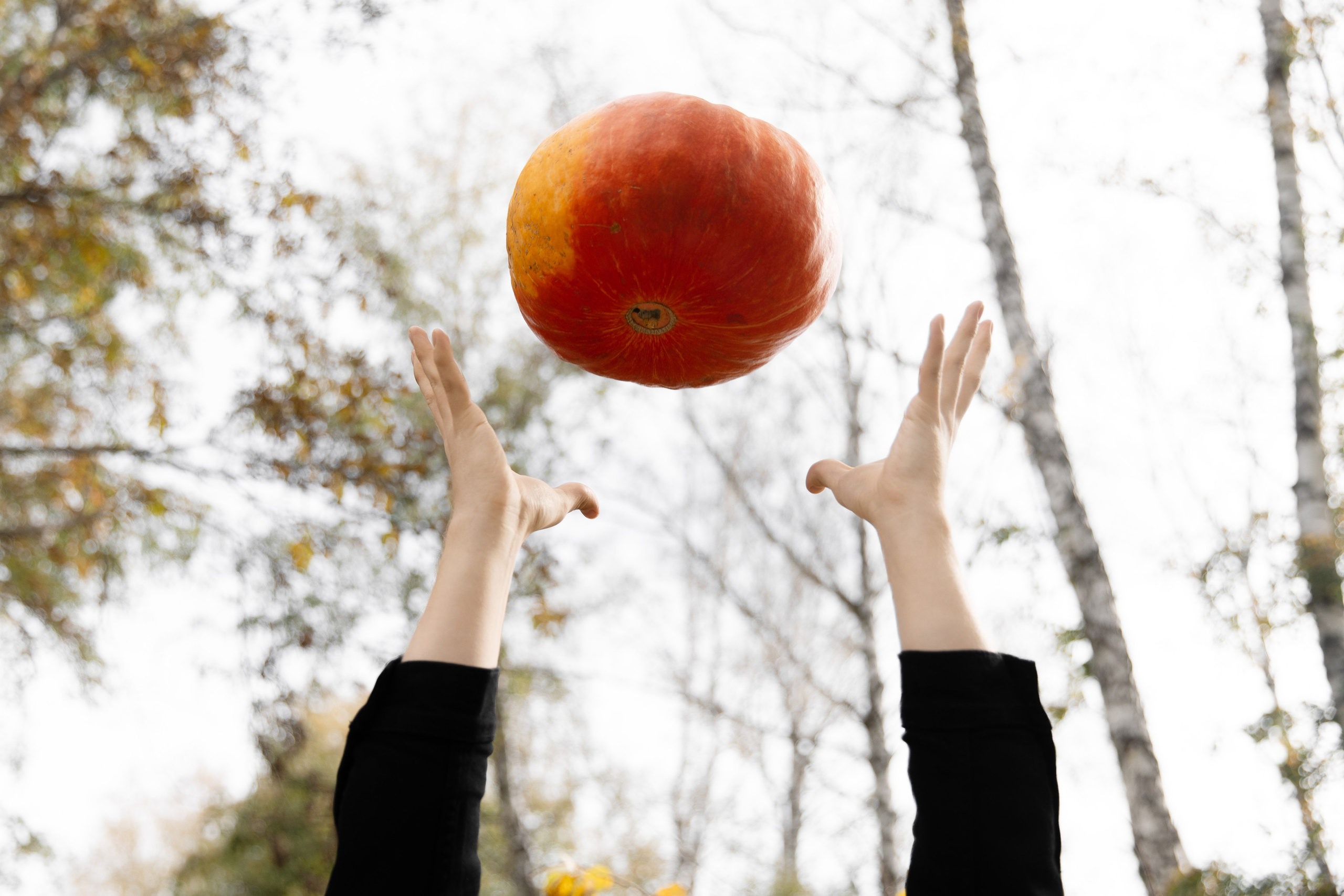 V&A. Фотограф в Новосибирске и Москве