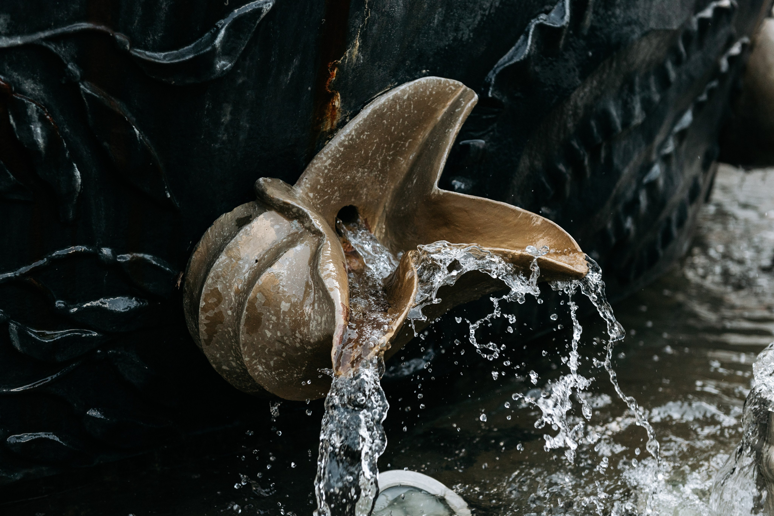 СЕМЕЙНАЯ ПРОГУЛКА ПО ВОРОНЕЖУ. Свадебный фотограф — фотограф на свадьбу в Воронеже — Свадебное фото