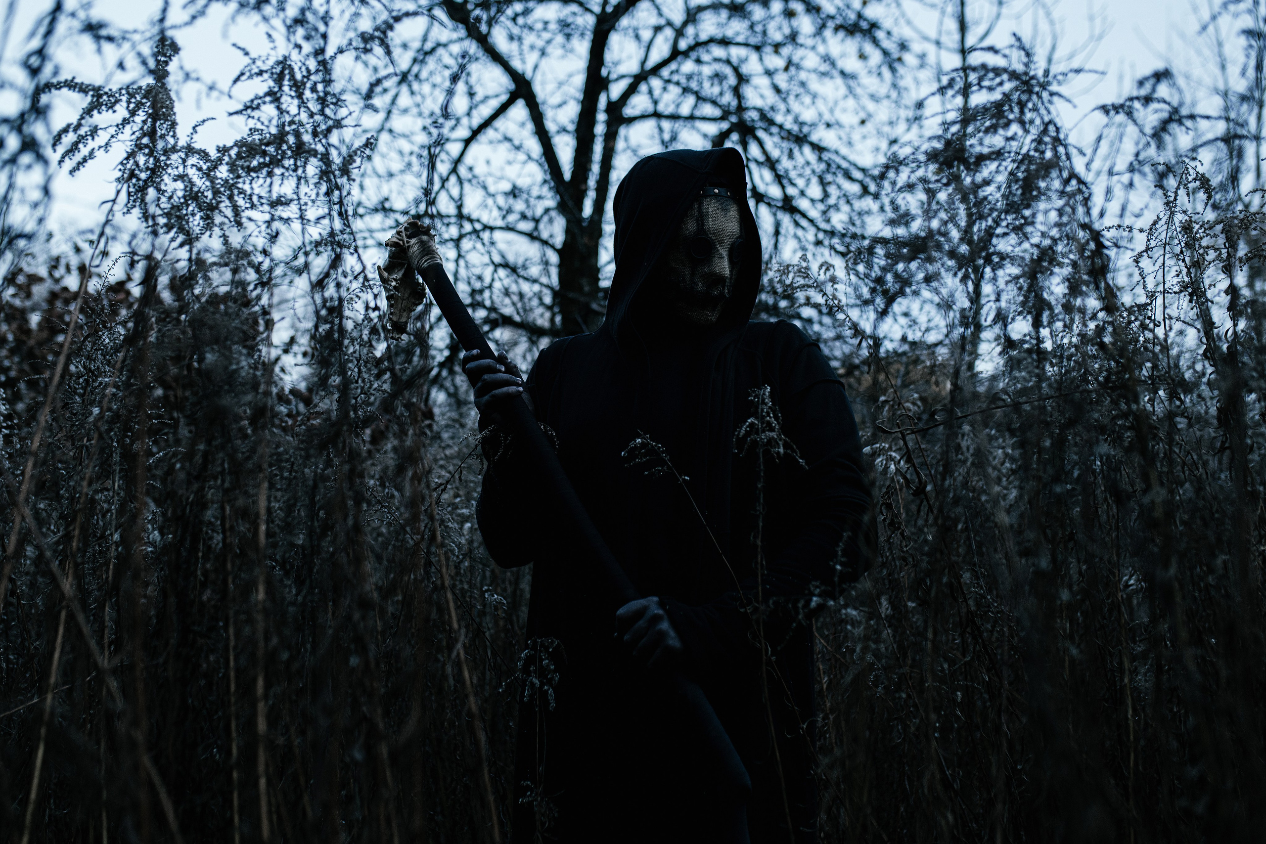 Guardian of the Forest. Свадебный, семейный фотограф в Рязани Лена Брант