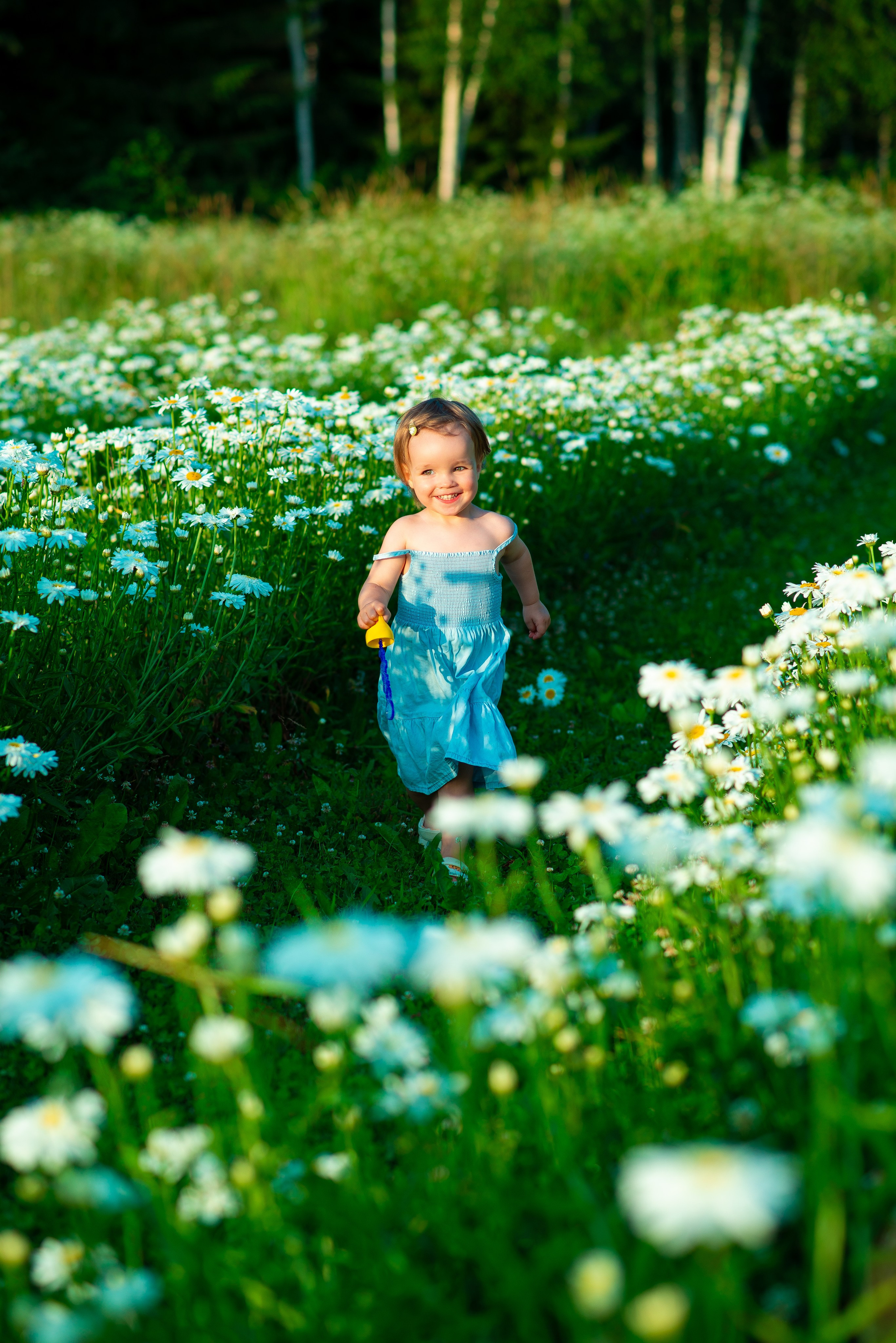 Вероника с семьей в ромашках. Семейный фотограф на выписку из роддома и крещение Минск Настя Гришук