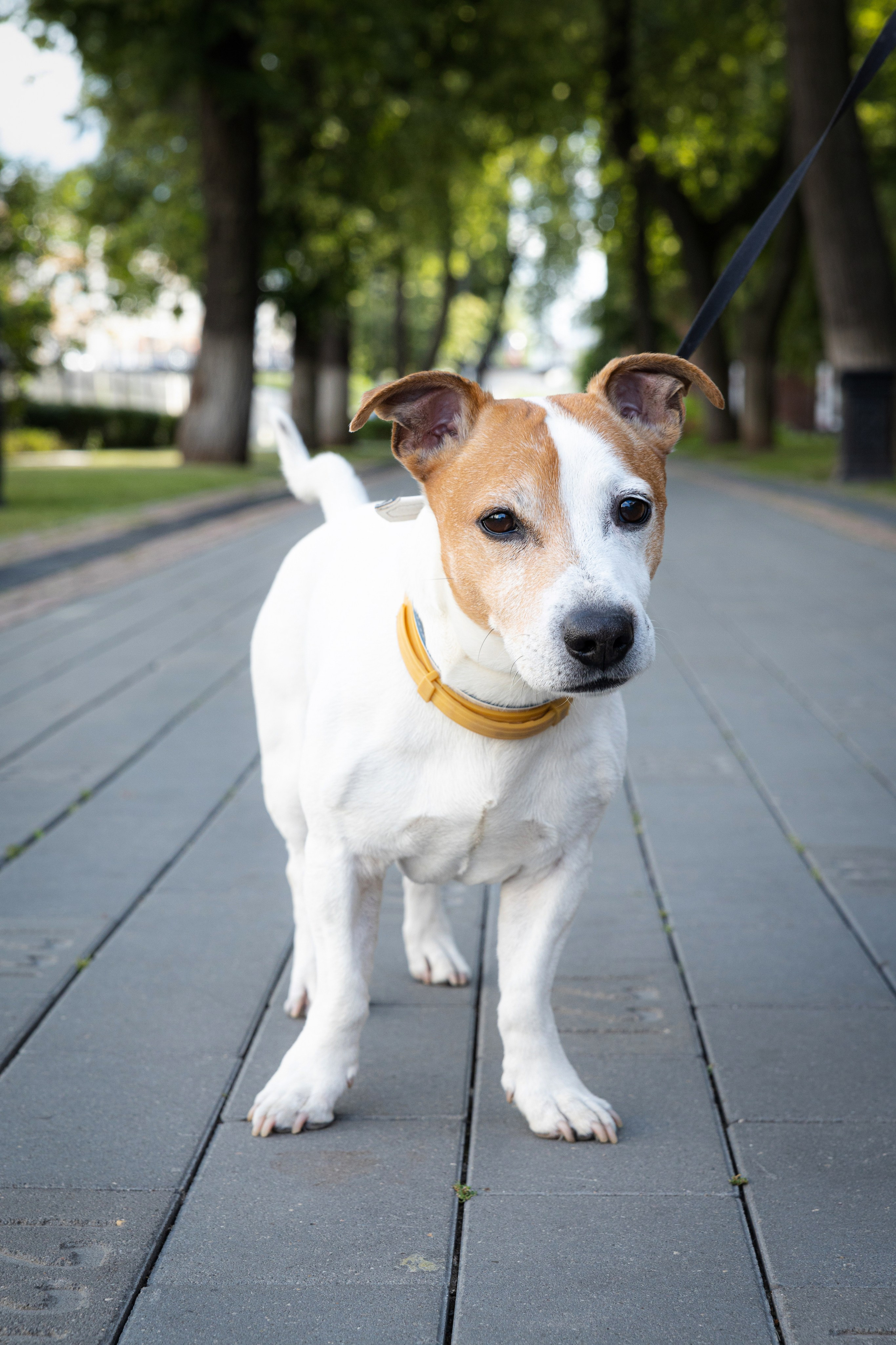 Прогулочная фотосессия в городской среде. Фотограф Лабутина Александра. Портретный и репортажный фотограф из Нижнего Новгорода Александра Лабутина