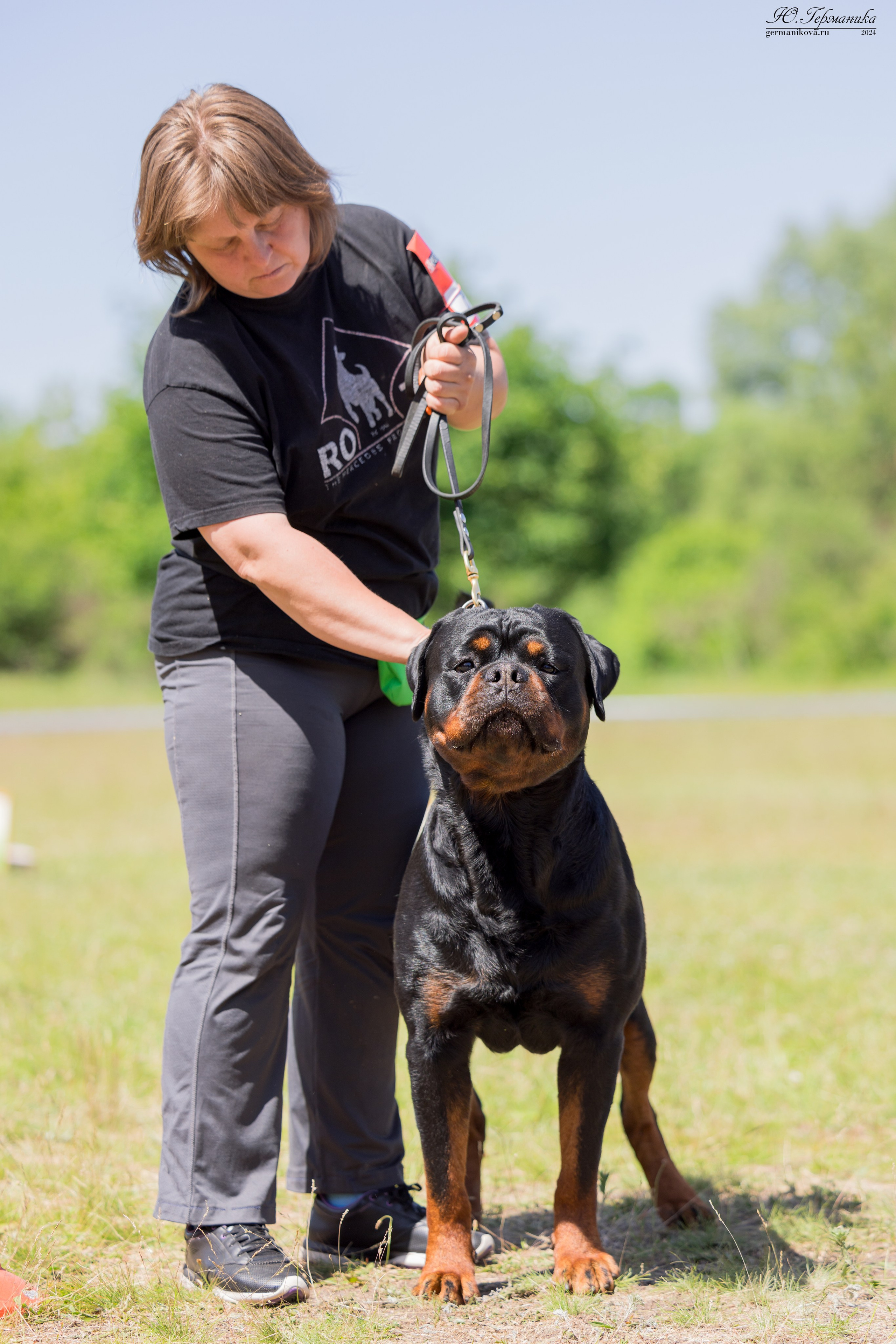 Воронеж моно ротвейлеров 25-26.05.2024. Фотограф-анималист Юлия Германика