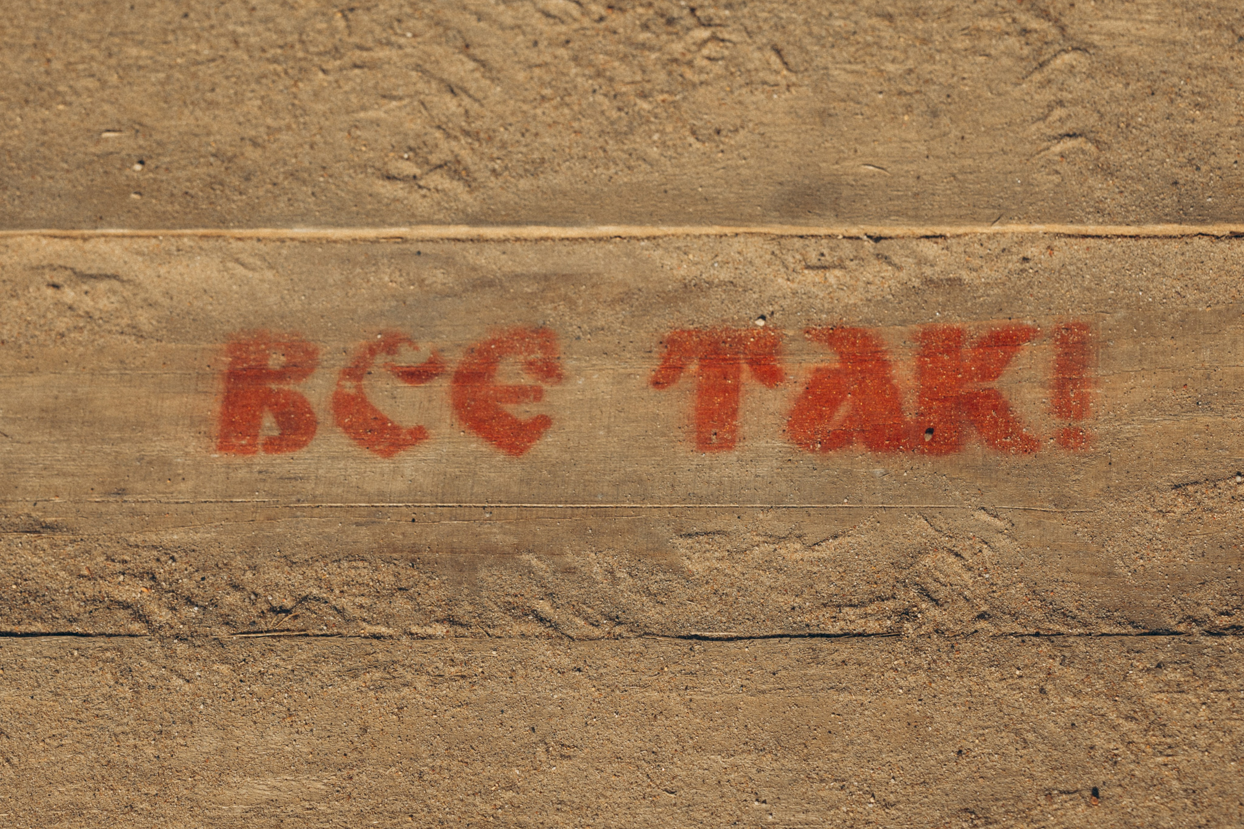 Этно — Свадьба. Свадебный и семейный фотограф в Москве Анастасия. Помогу вам быть собой и создам теплые, живые фотографии. Семейный фотограф в Дмитрове