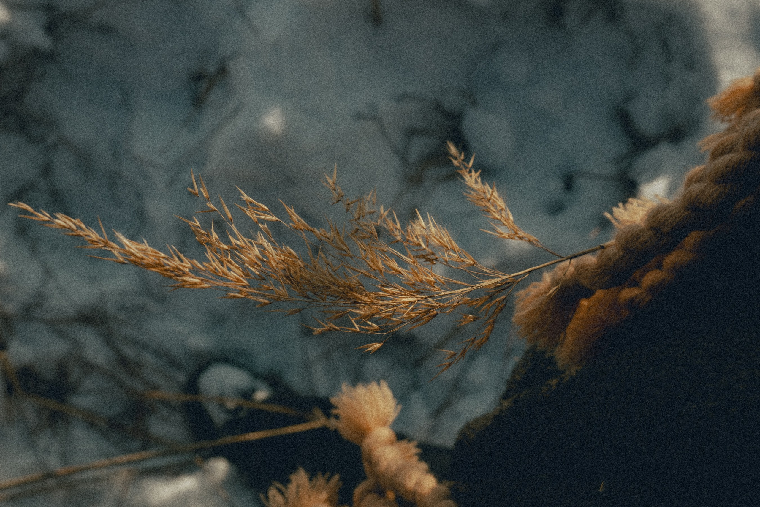 Женский портрет на природе — естественный свет и красота. Фотограф в Хабаровске Дмитрий Лемешков