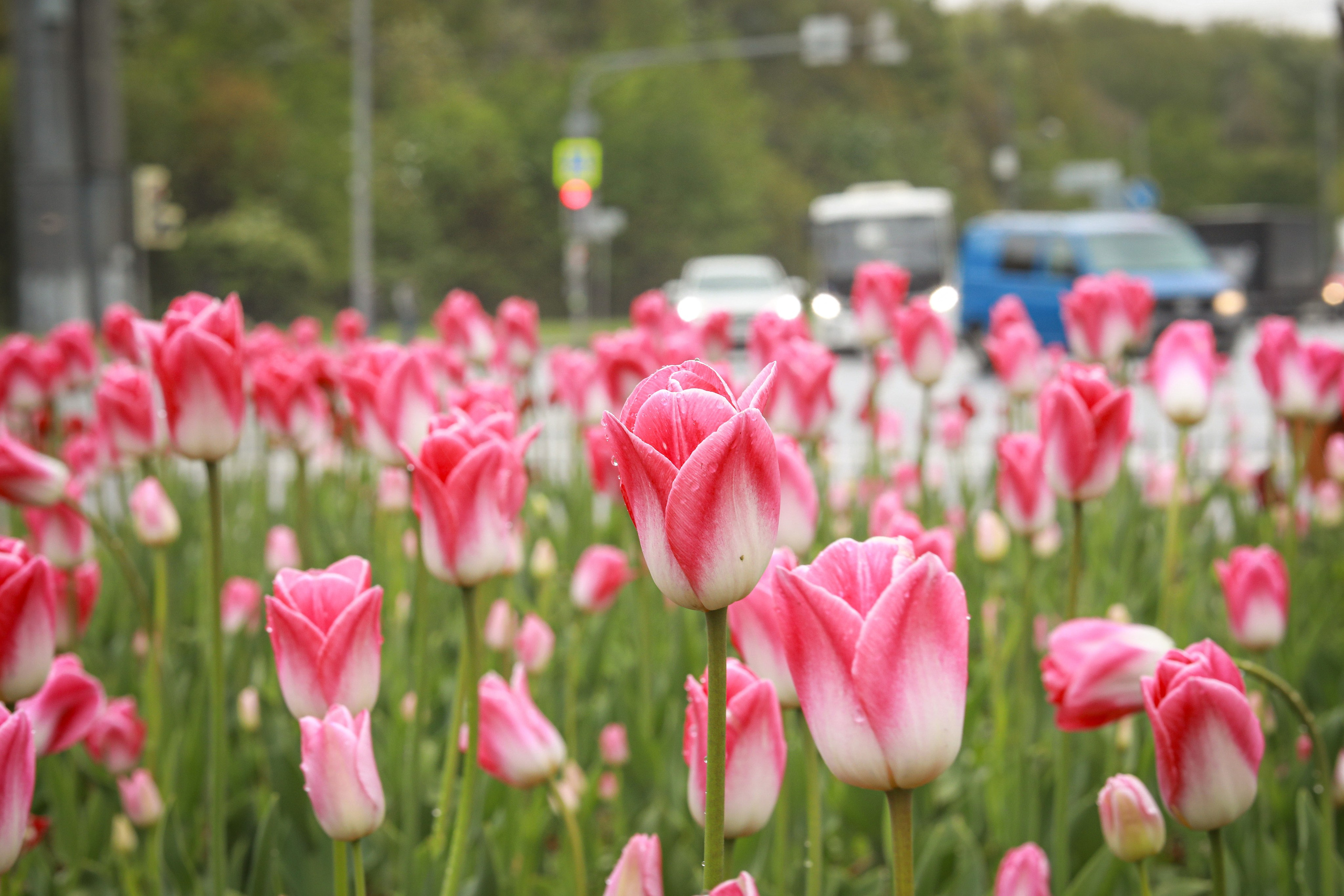 Про жизнь. Фотограф Сергей Ловкий