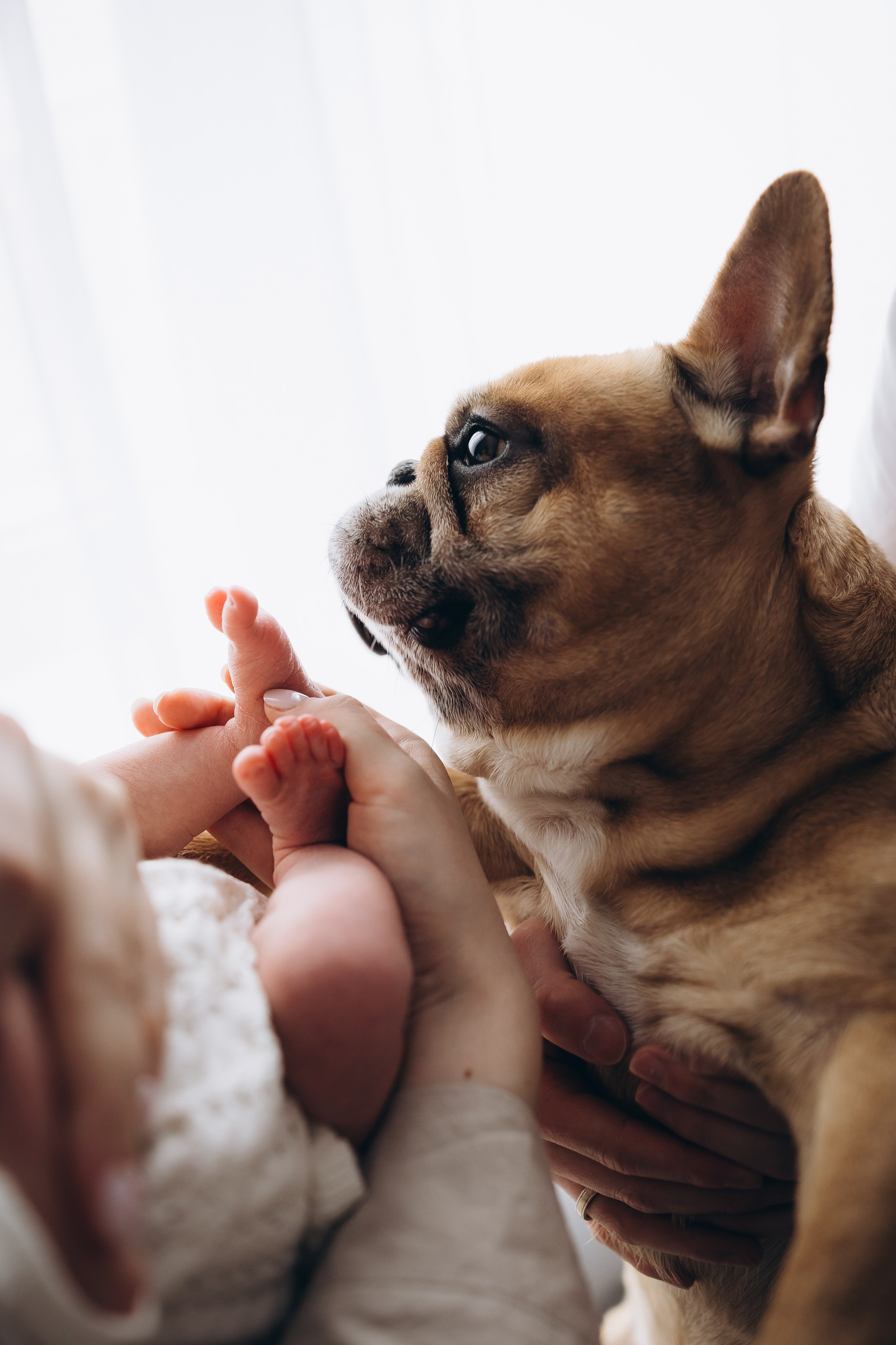 Майя. Евгения Пелипас
