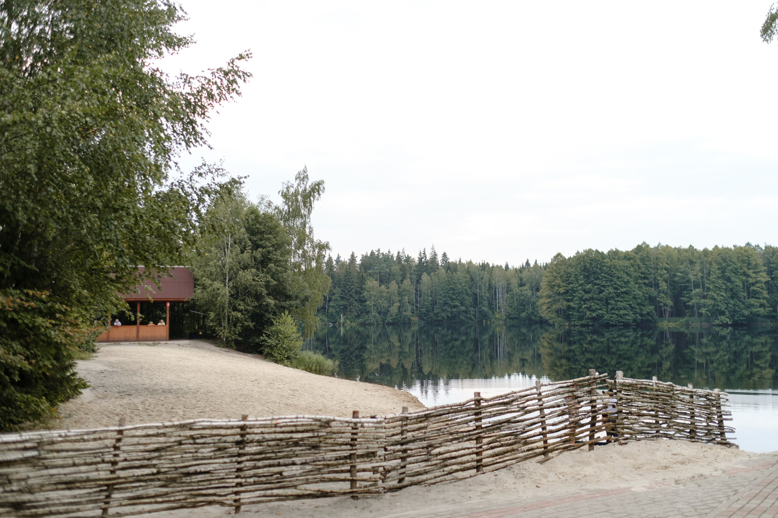 A&O. Свадебный фотограф в Брянске Иванникова Елена