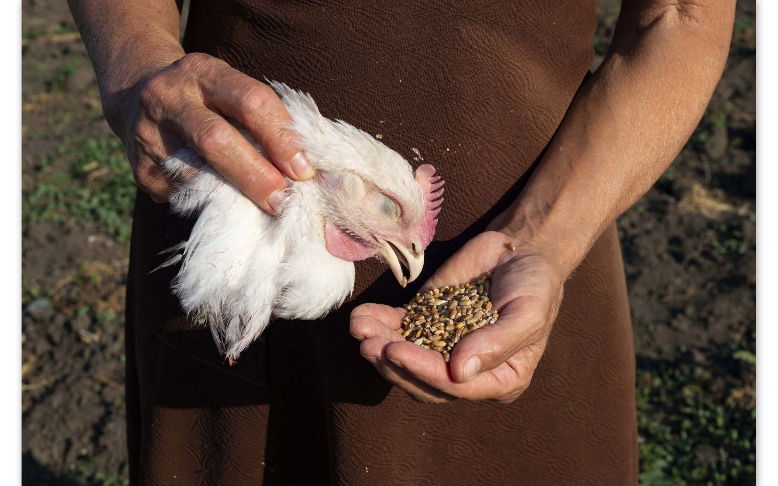 Мария Кокунова персональная выставка