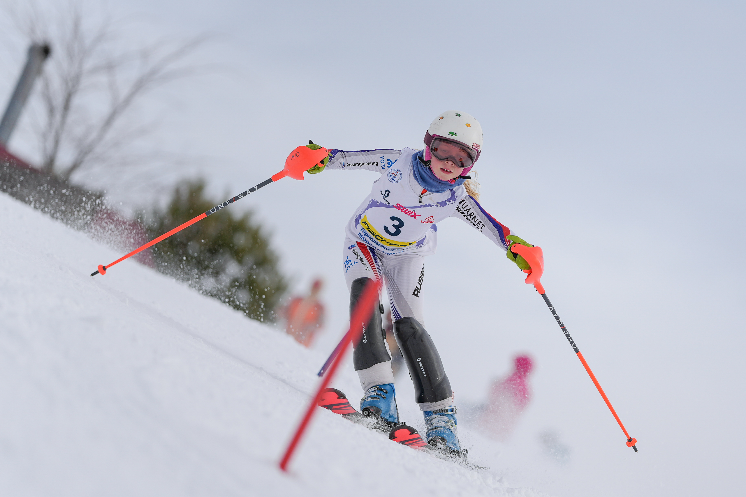 SL (Slalom) - Слалом. Соревнования по горнолыжному спорту. Московская область, Шуколово