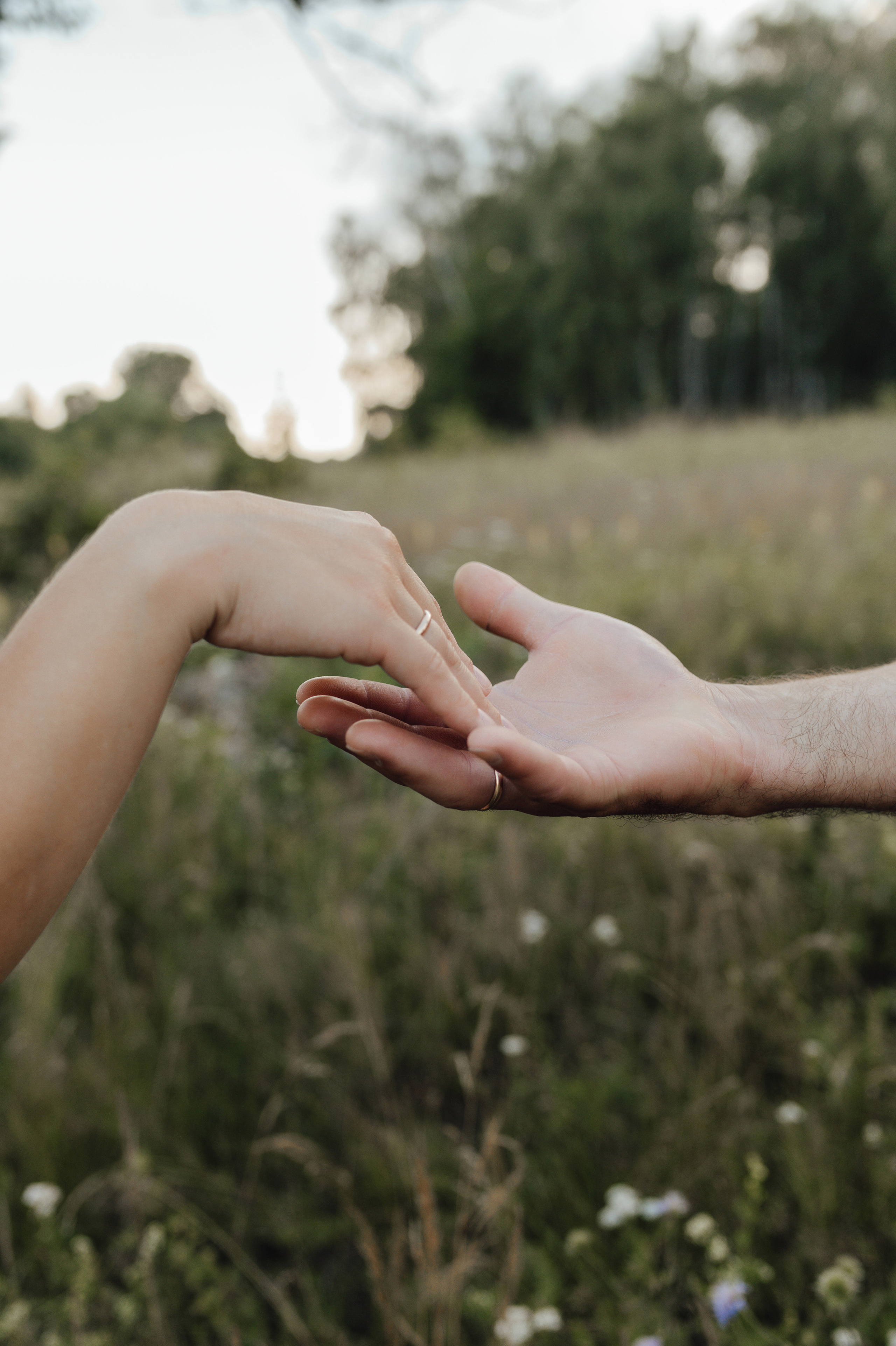 Для Сергея, Ильмиры, Глеба и Миры. Свадебный и семейный фотограф в Тульской области Пашкова Екатерина