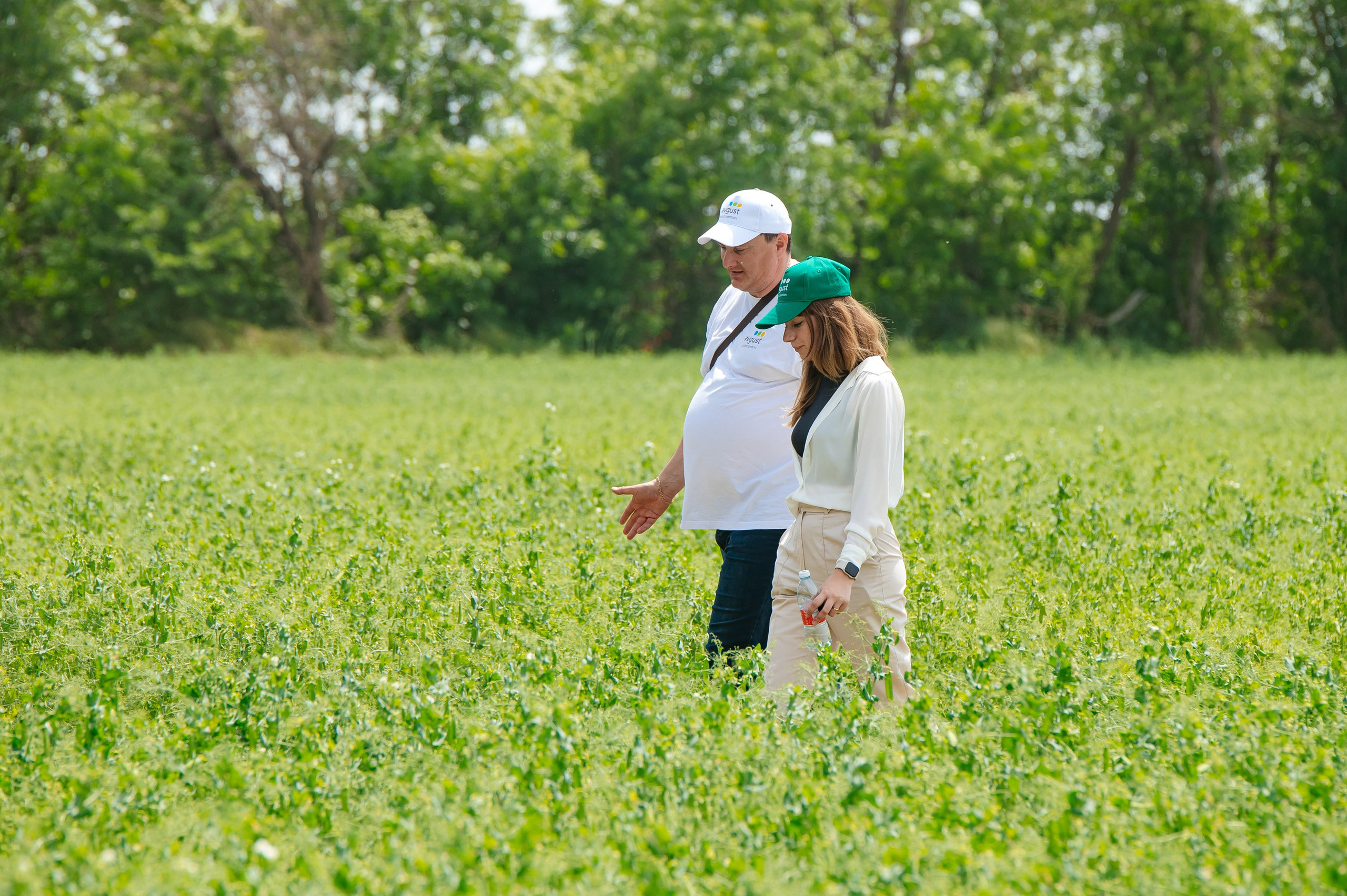 День поля. Главная
