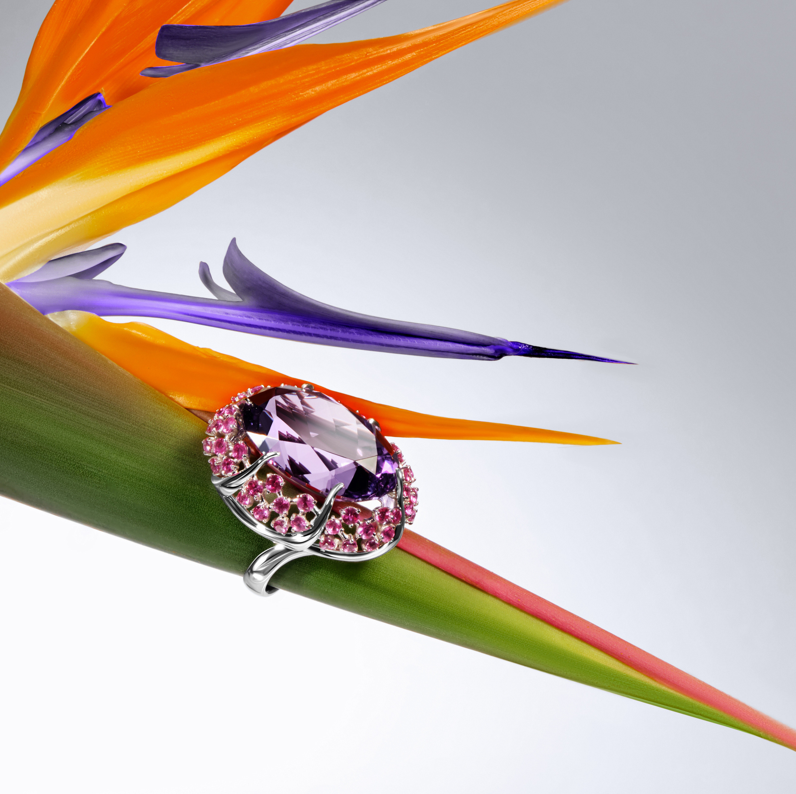 Jewellry. Photographer and Videographer in Montenegro