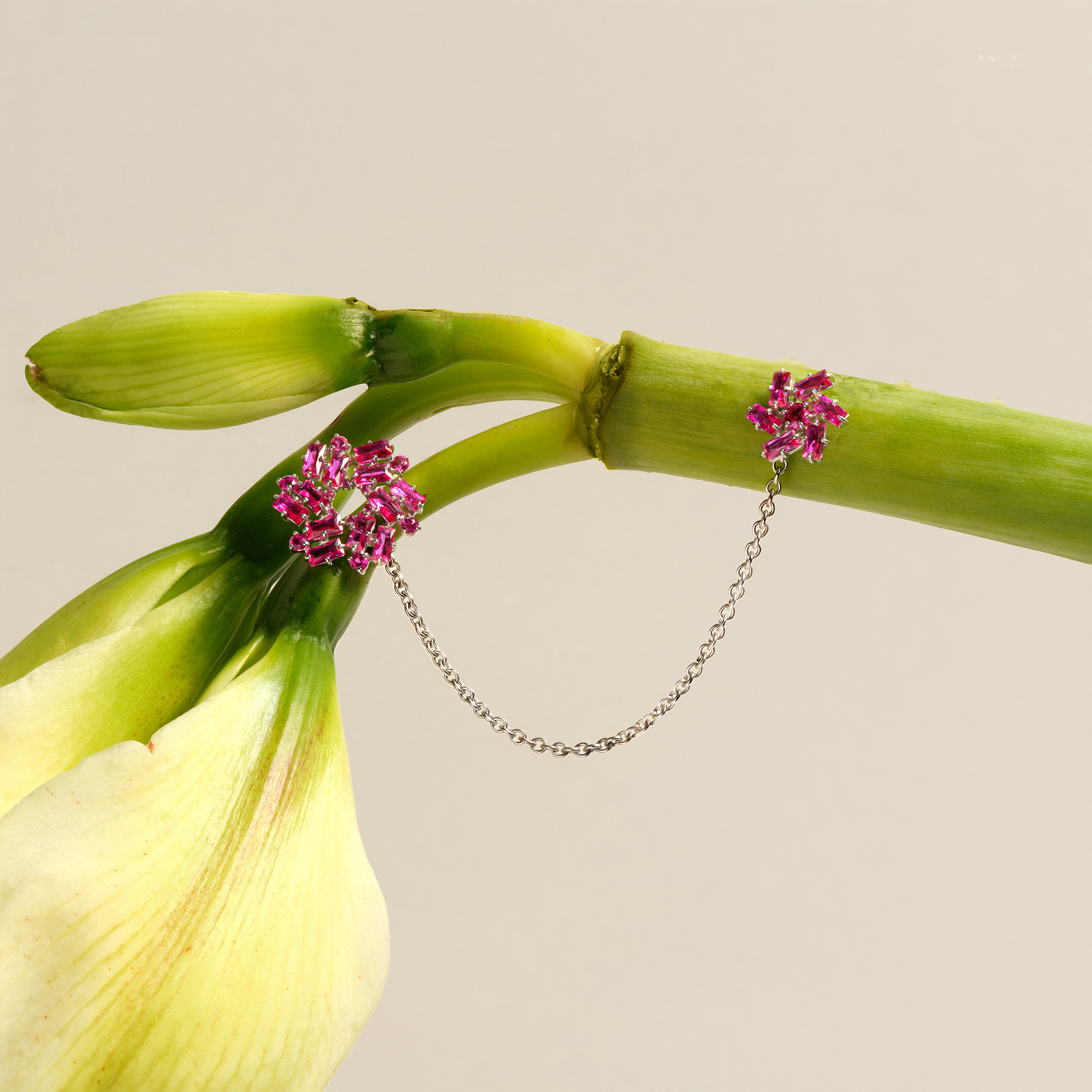 Jewellry. Photographer and Videographer in Montenegro