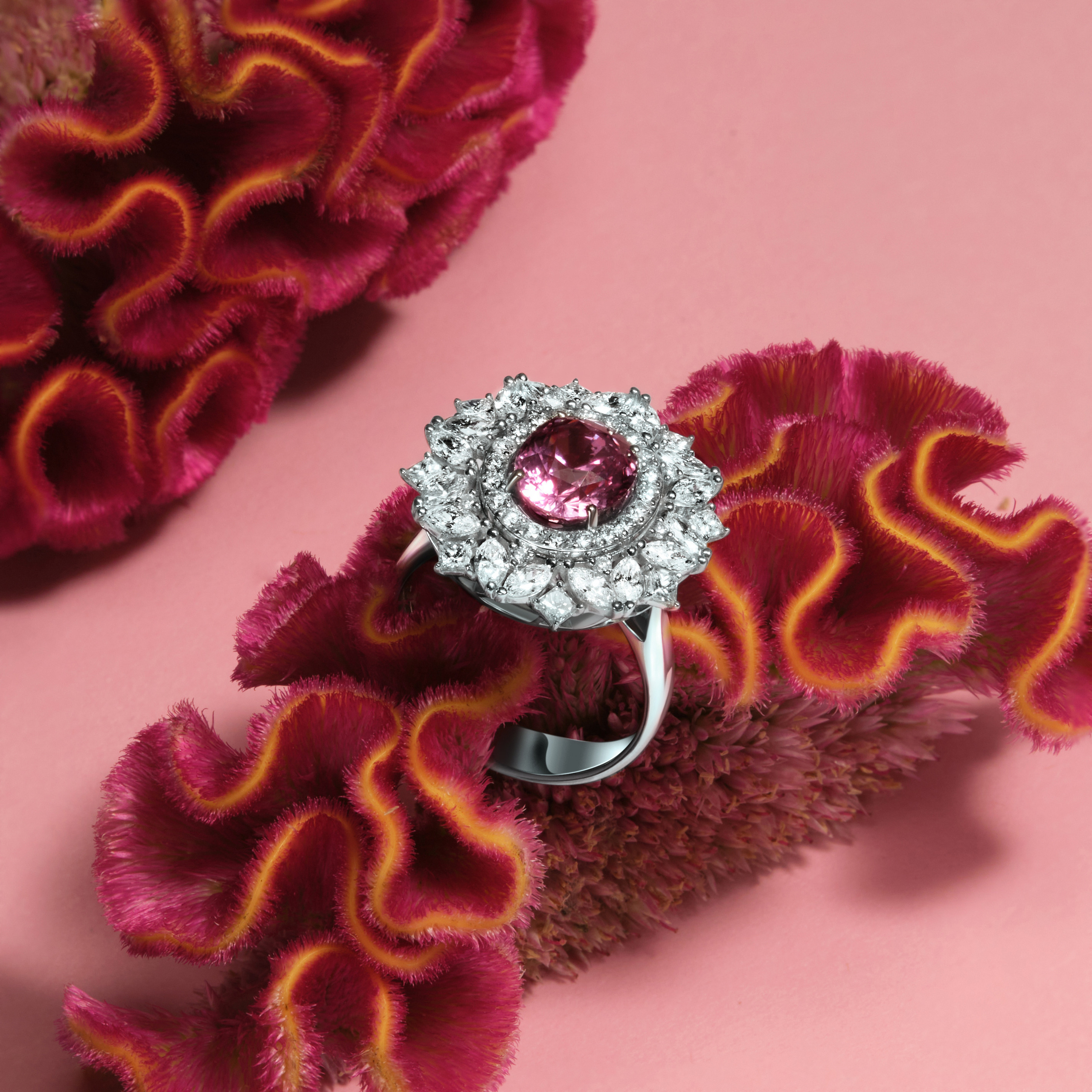 Jewellry. Photographer and Videographer in Montenegro